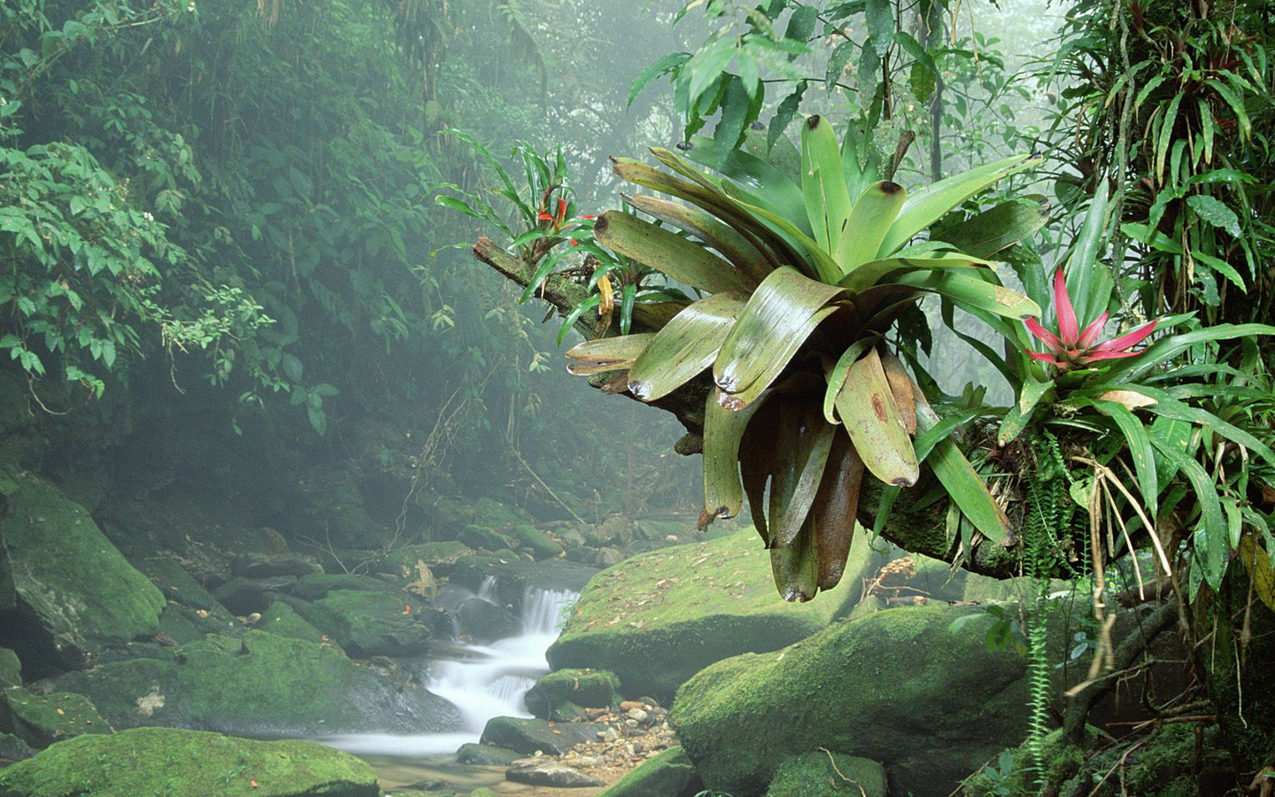 影视,特种部队2,十一月十五日精选