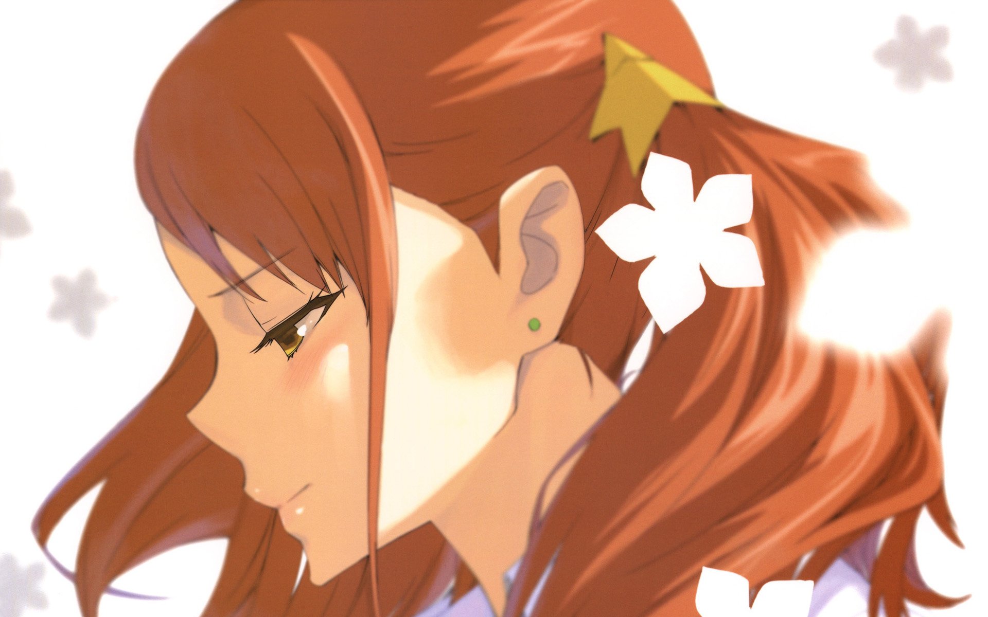 那朵花,2012Y十一月21D,儿童桌面专用