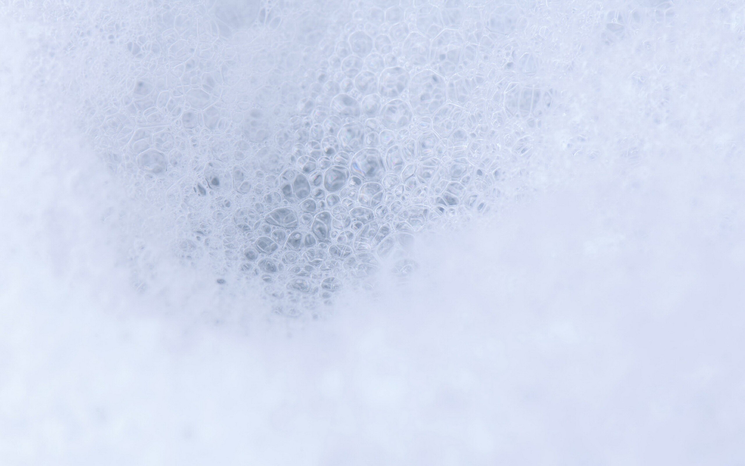 静物,高清,简约,儿童桌面专用