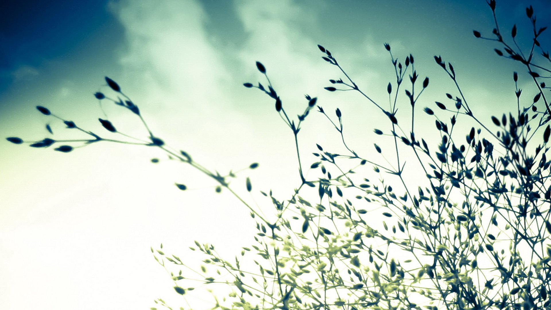 小清新,舒缓压力,十一月二十九日精选,儿童桌面专用