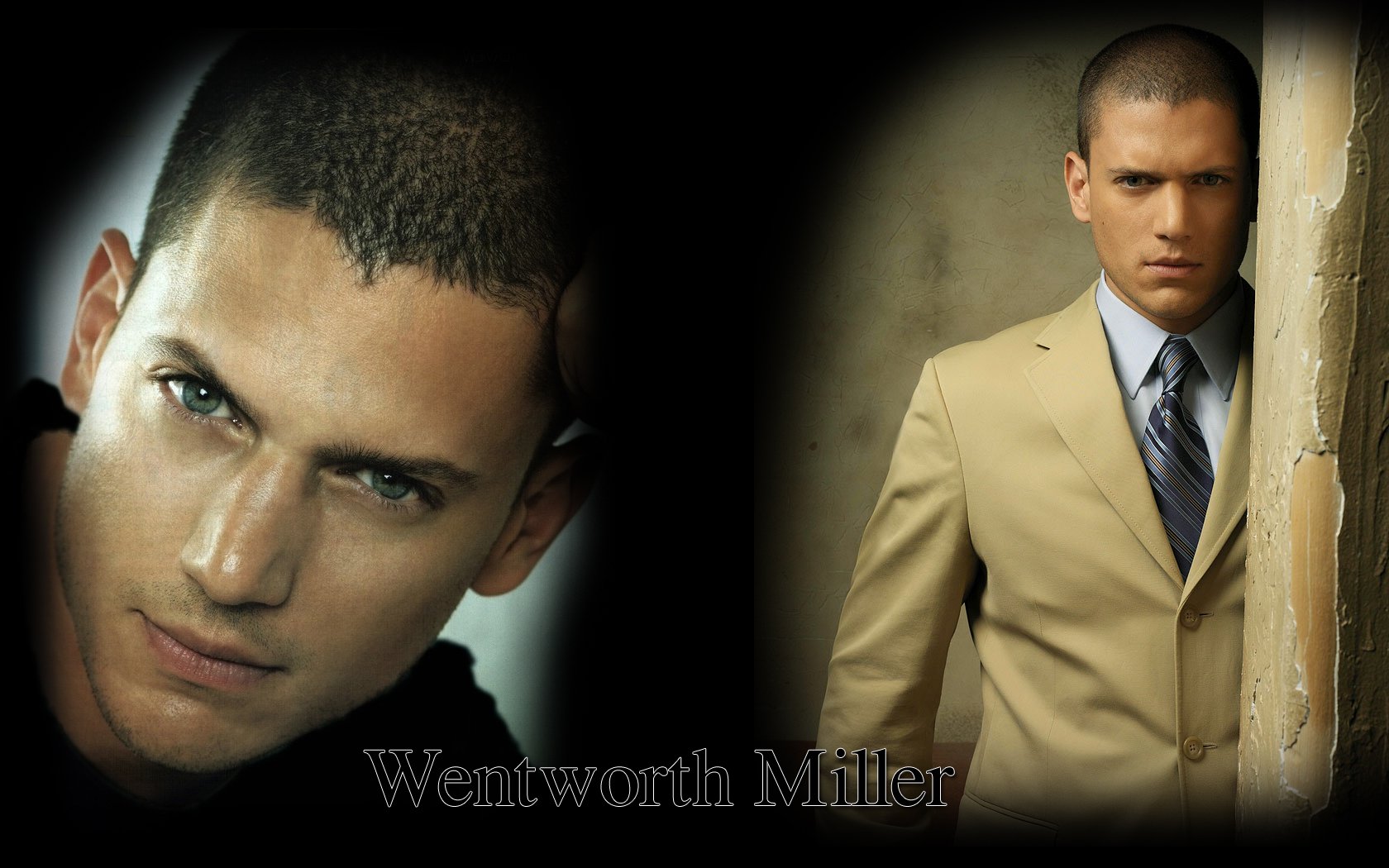 明星,米勒,欧美明星,越狱,十一月二十九日精选