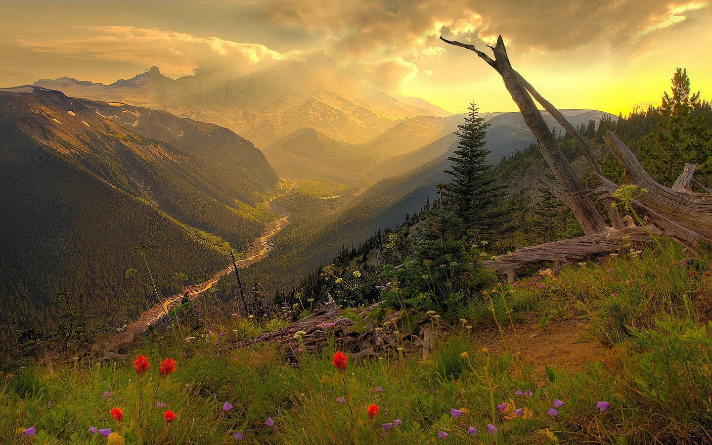 风景,落日余晖,十一月二十八日精选,儿童桌面专用