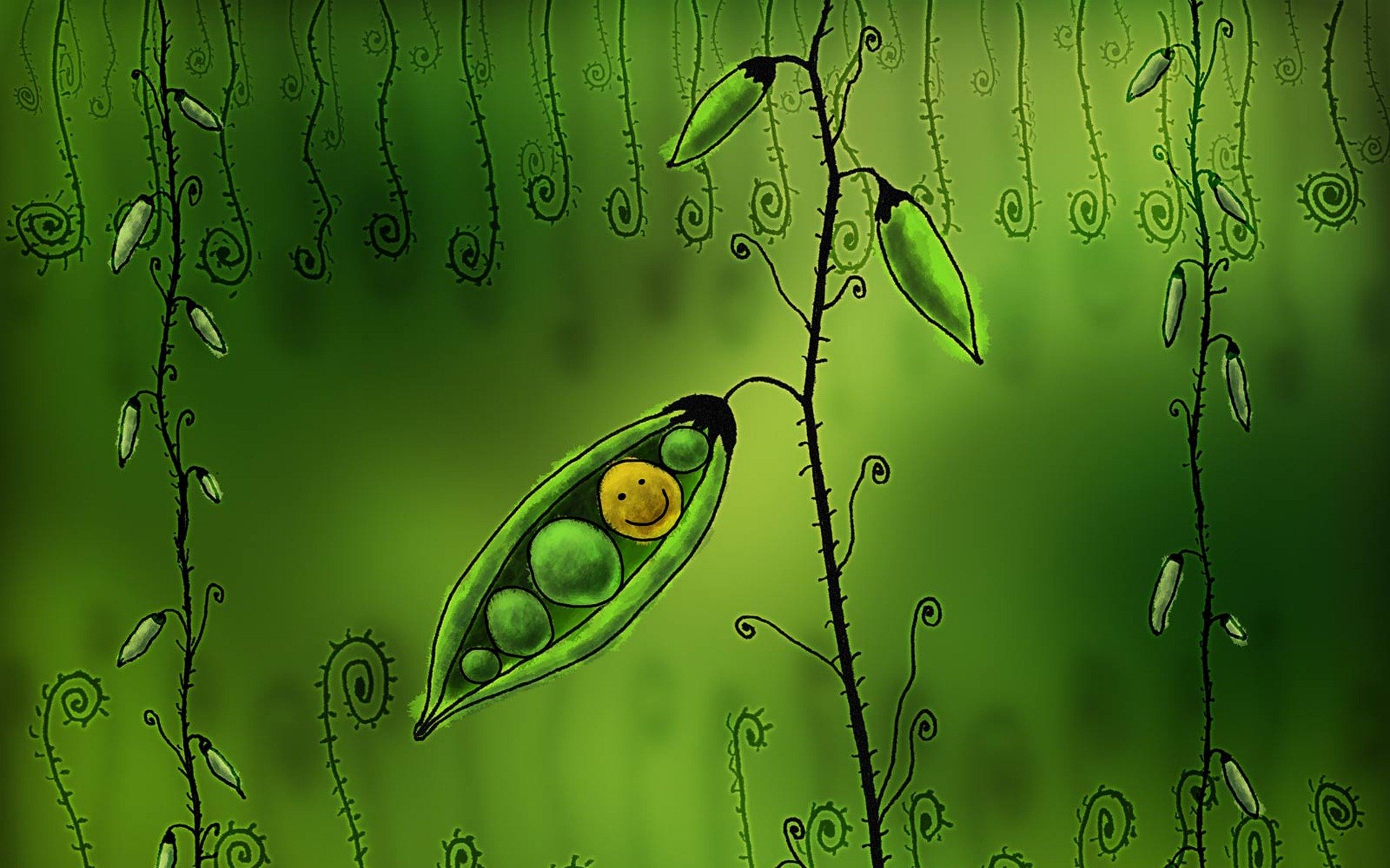 小清新,护眼壁纸,十一月二十七日精选,儿童桌面专用