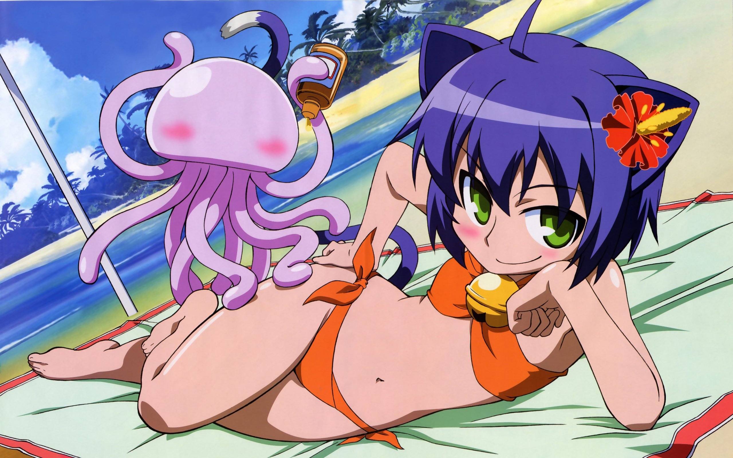 日本动漫,狂乱家族日记,2012Y十一月21D