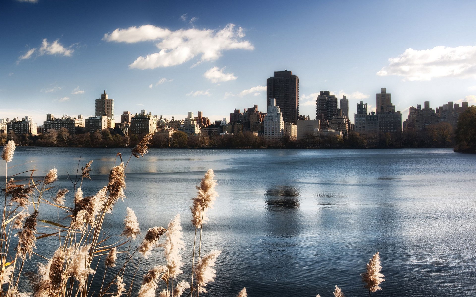 风景,旅游胜地,纽约,十一月二十七日精选,儿童桌面专用