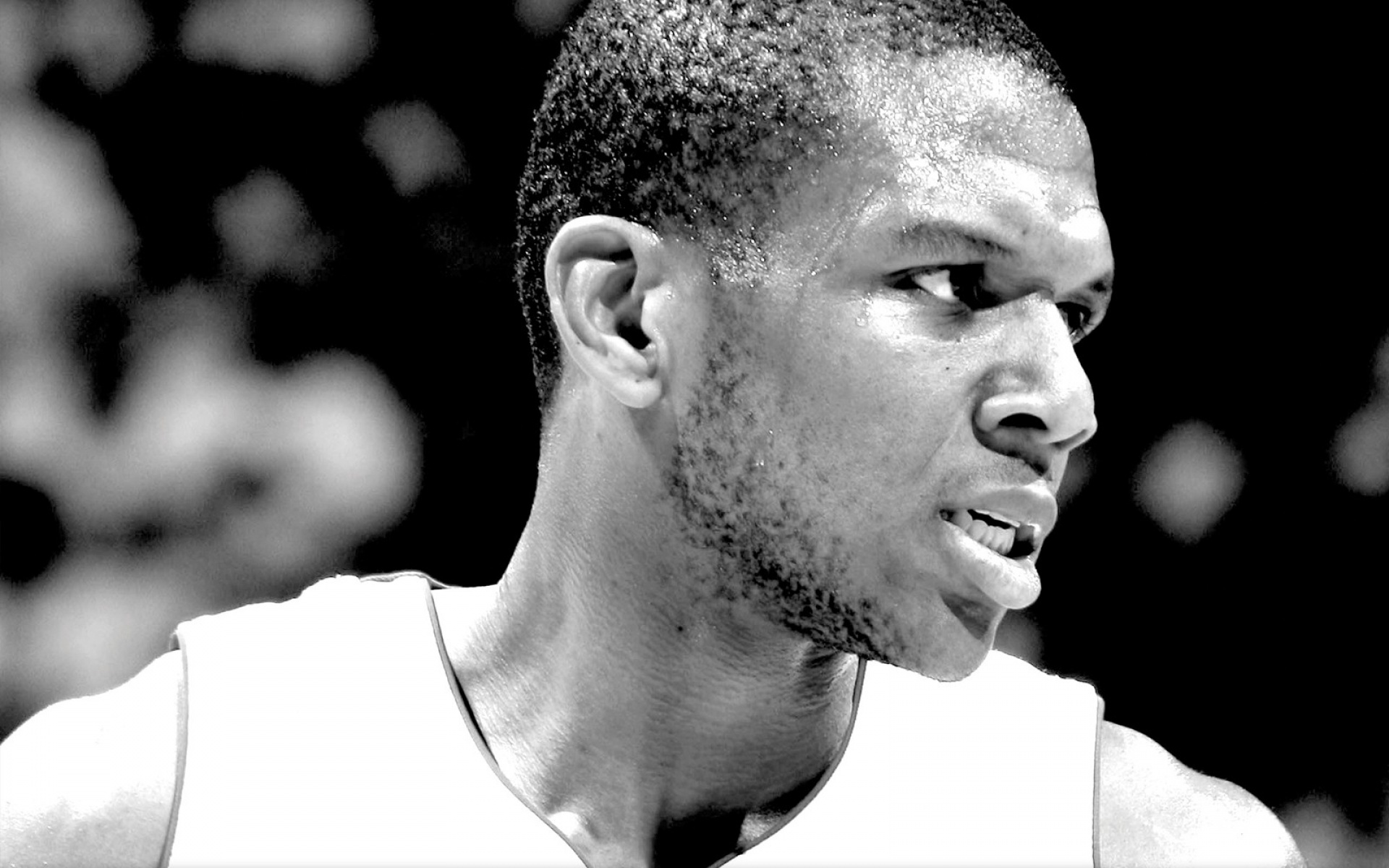 白热,2012,季后赛,NBA,热火队,体育,运动,2012Y十一月04D