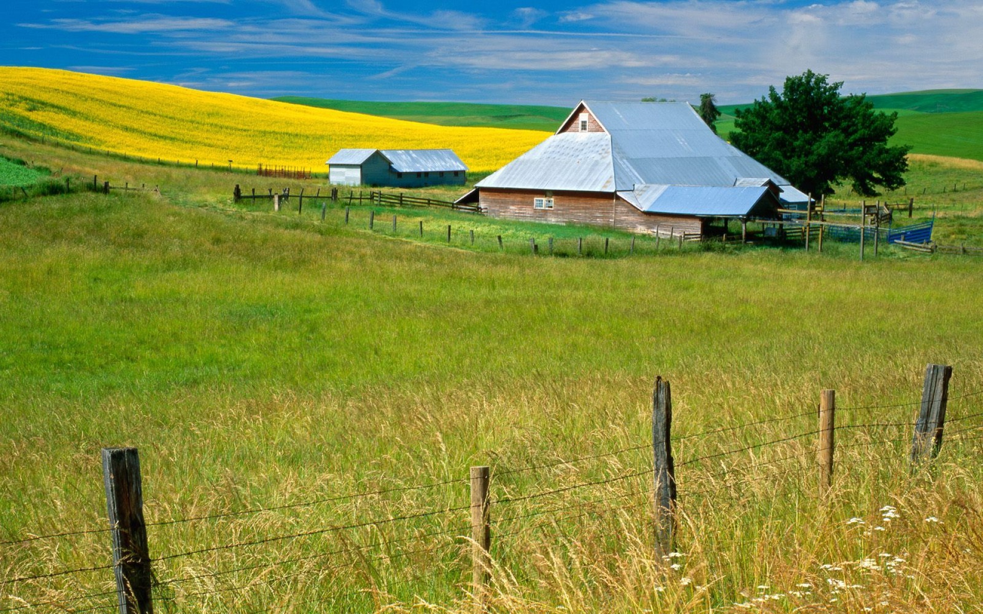 风景,碧绿草原,2012Y十一月04D,儿童桌面专用