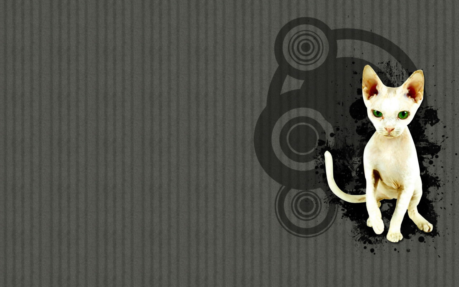 设计,简约,黑色,儿童桌面专用