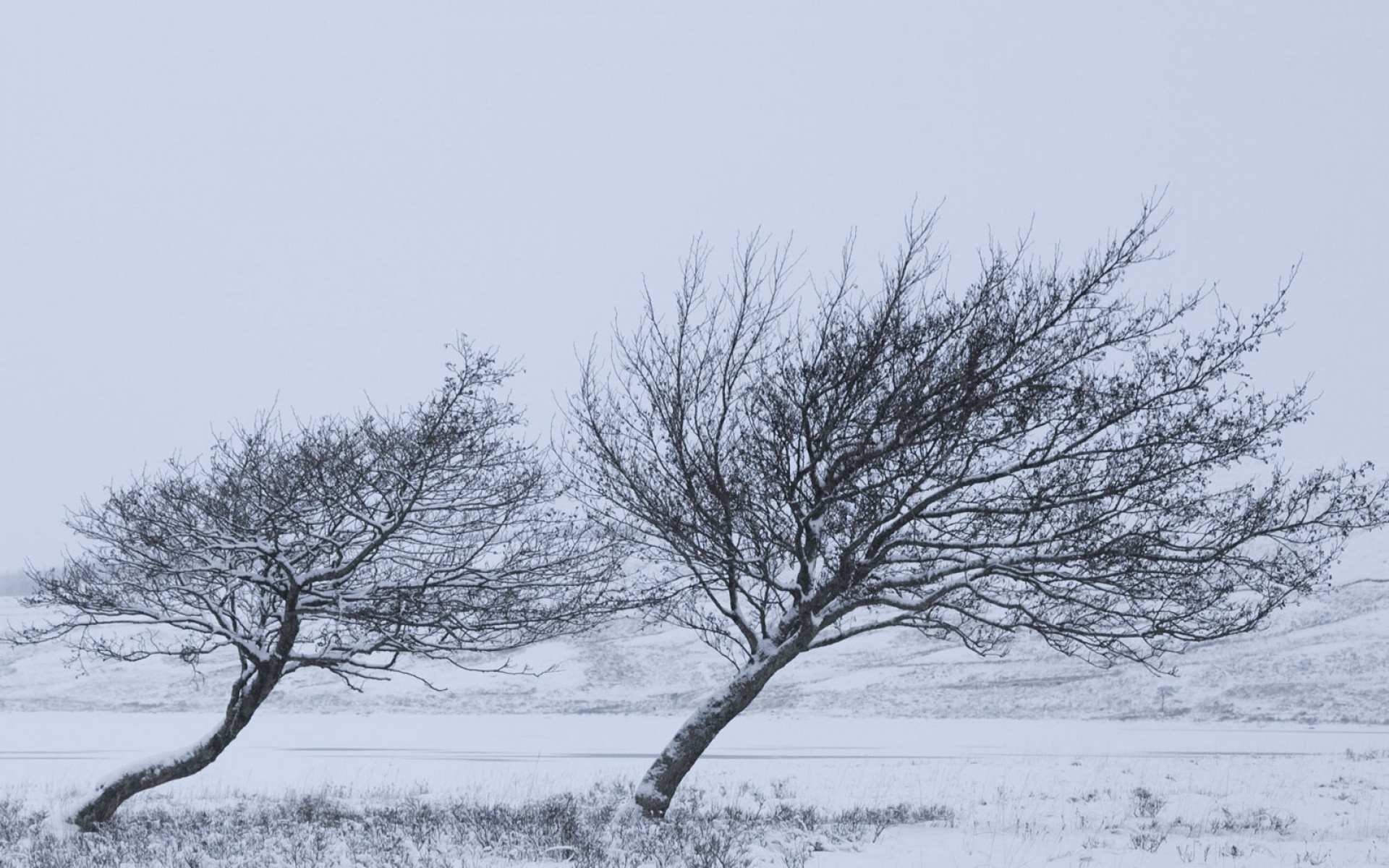 风景,冰天雪地,2012Y十月30D,儿童桌面专用