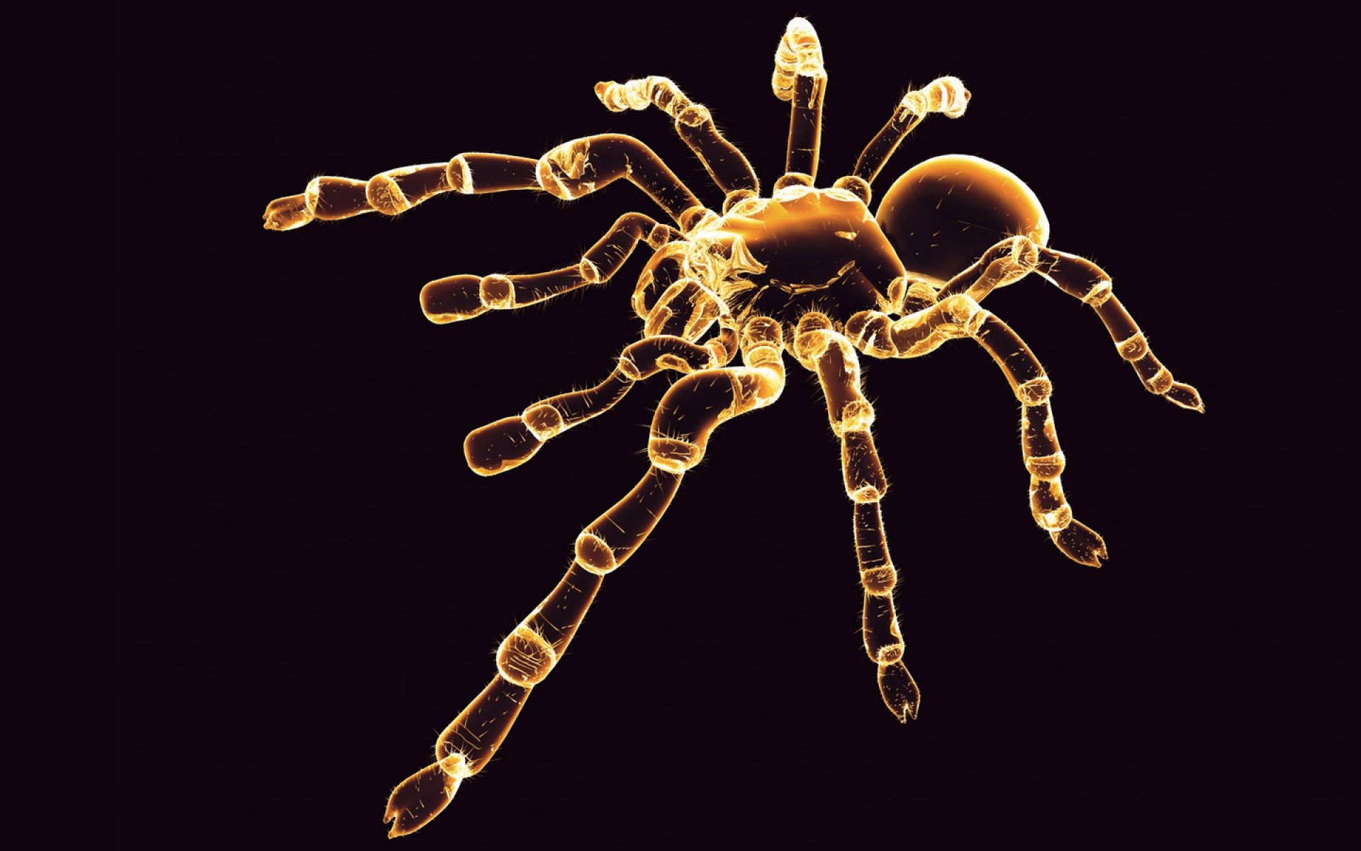 霓虹灯,眩光,线条,描绘,设计,个性,2012Y十一月03D,创意