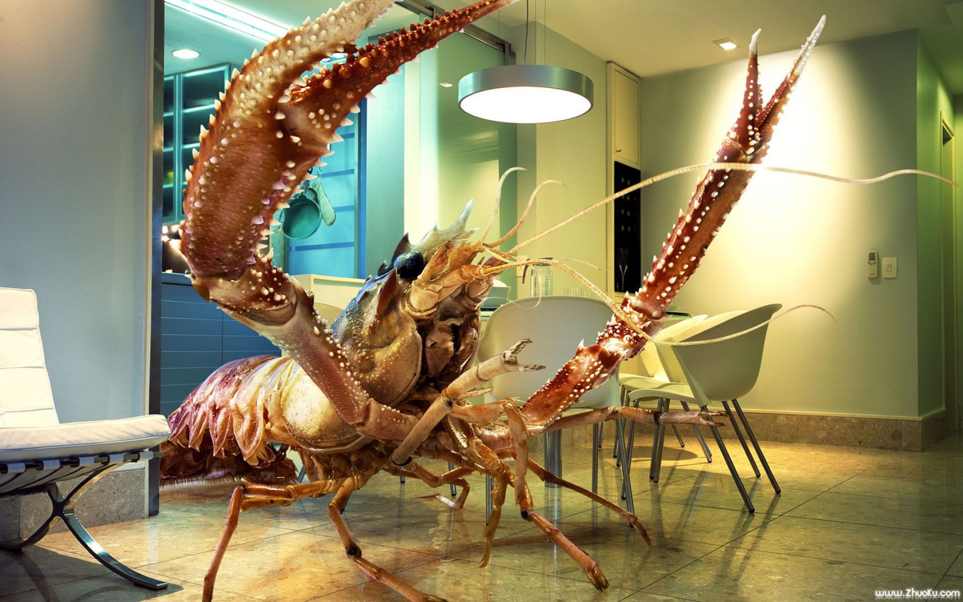 创意,立体,3D,设计,2012Y十一月09D,儿童桌面专用