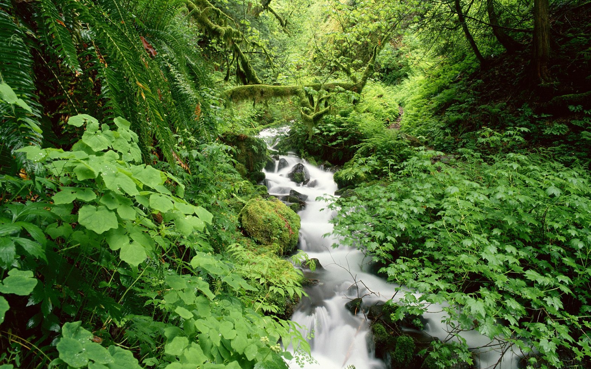 风景,自然风光,2012Y十一月11D,儿童桌面专用