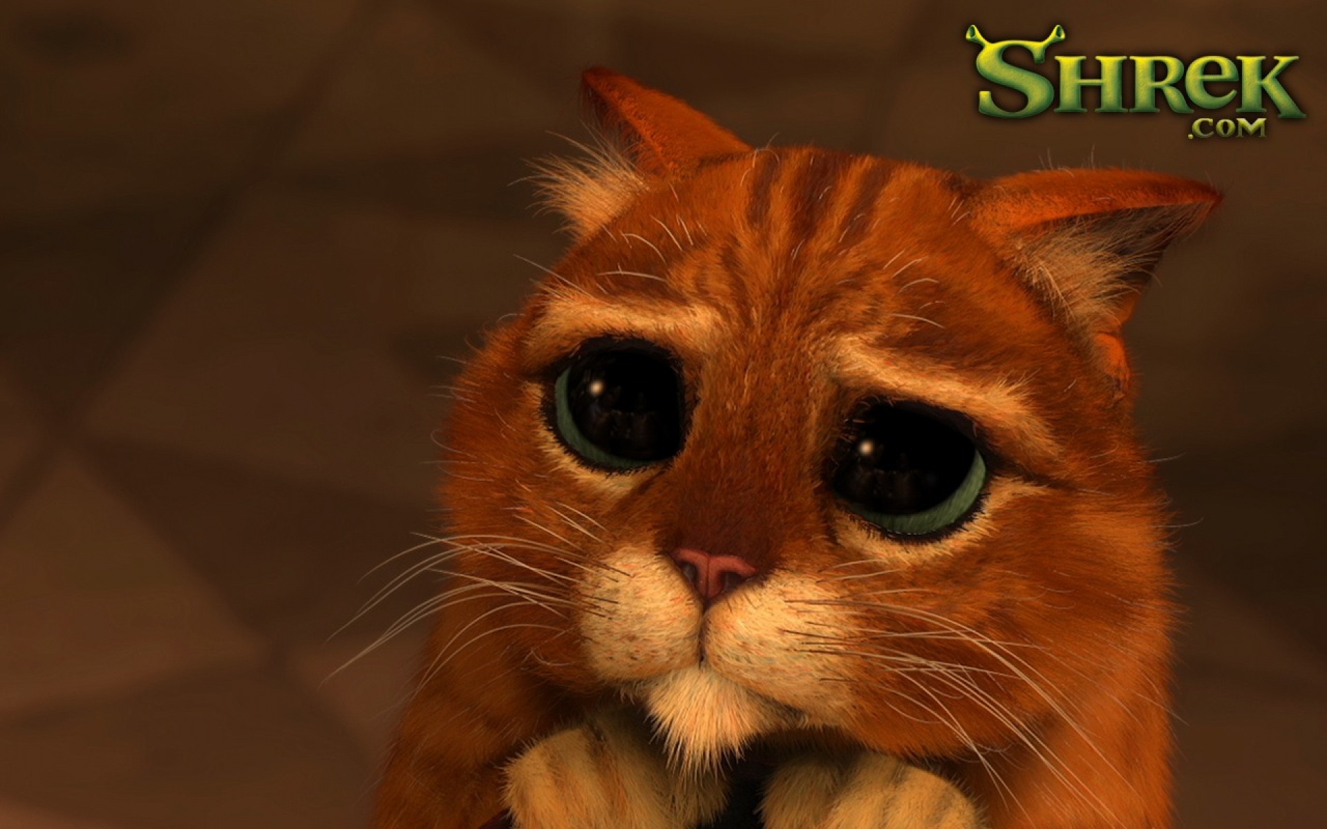 怪物,史莱克,影视,2012Y十一月15D