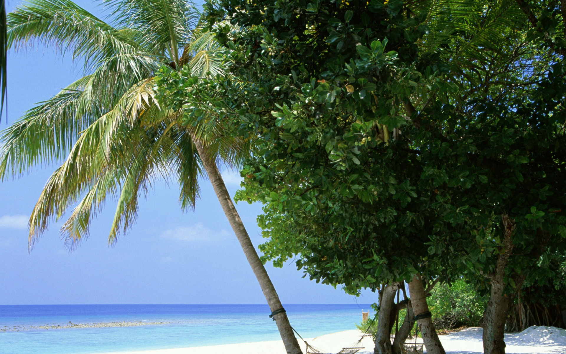 风景,海洋天堂,2012Y十一月12D,儿童桌面专用