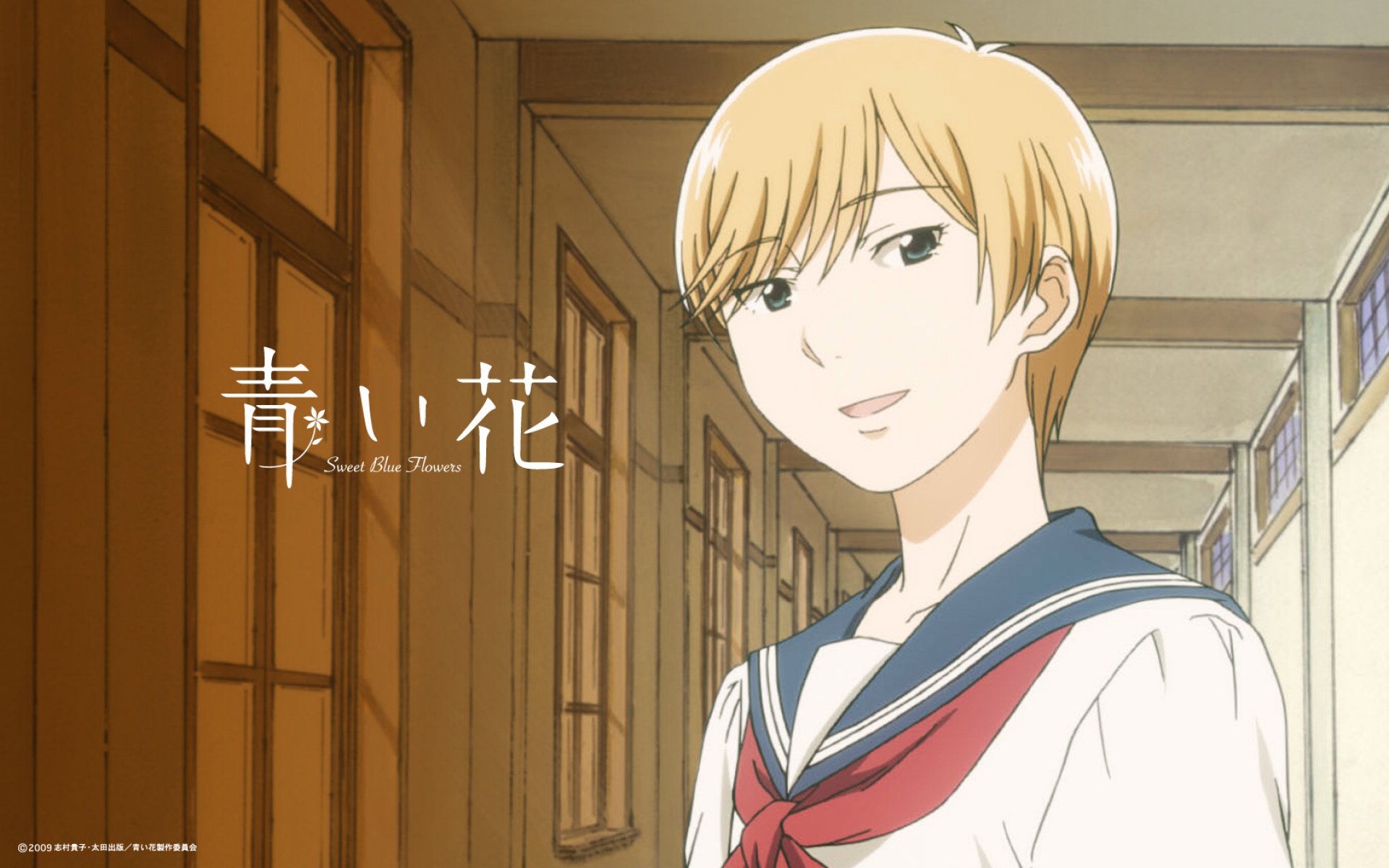 青花,蓝花,Aoihana,动漫,卡通,2012Y十一月04D,儿童桌面专用