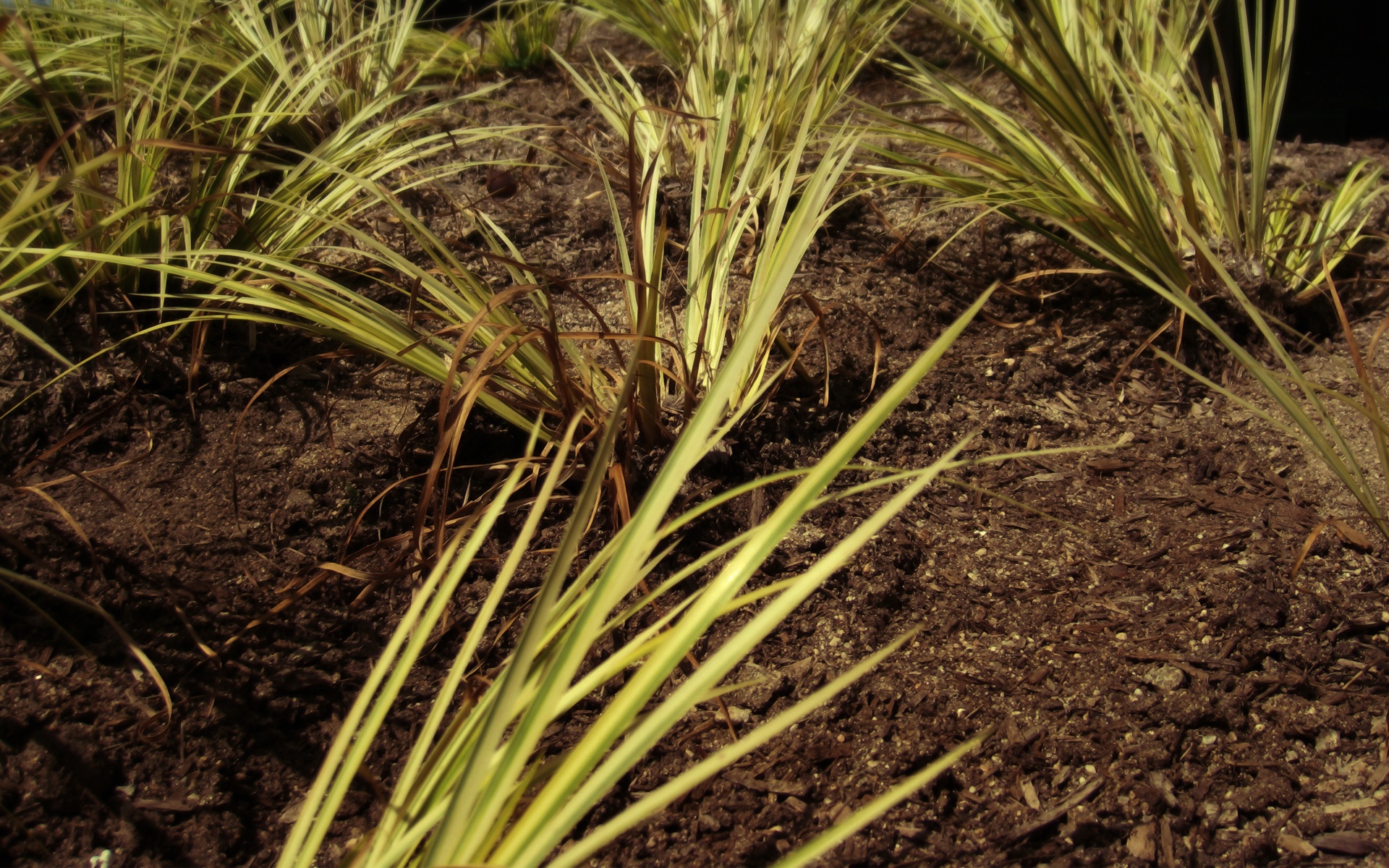 精品,经典,实物,摄影,电脑,PS,宽屏,2012Y十月31D