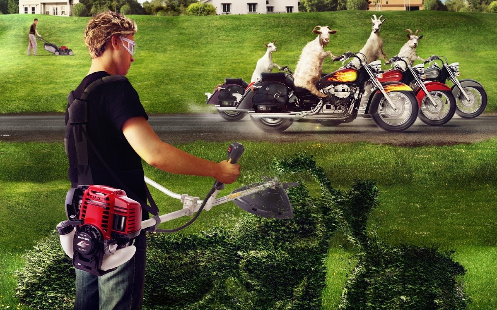 俄罗斯,FIERO,ANIMALS,设计,作品,创意,2012Y十一月03D,儿童桌面专用