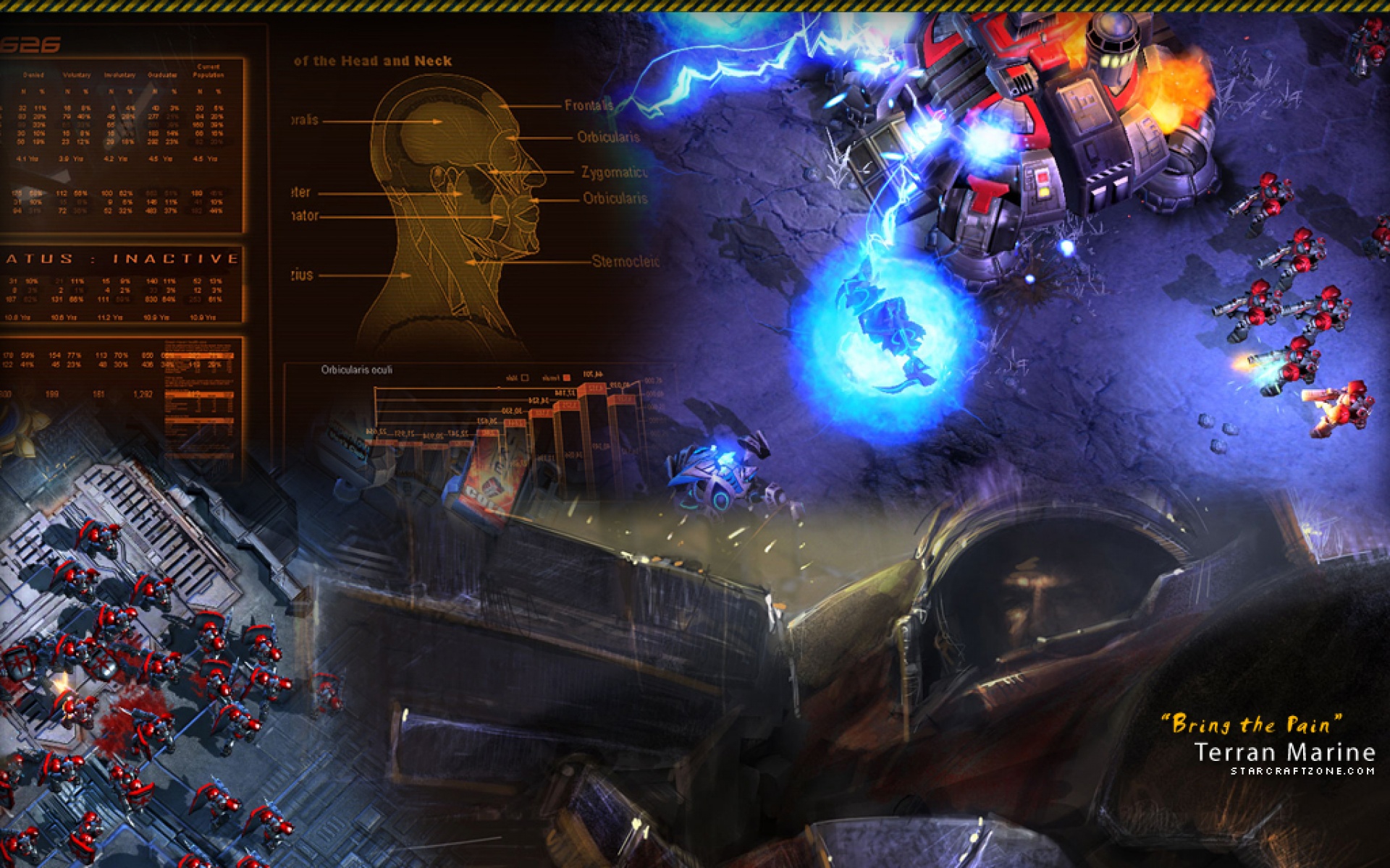 星际,争霸,游戏,2012Y十一月10D