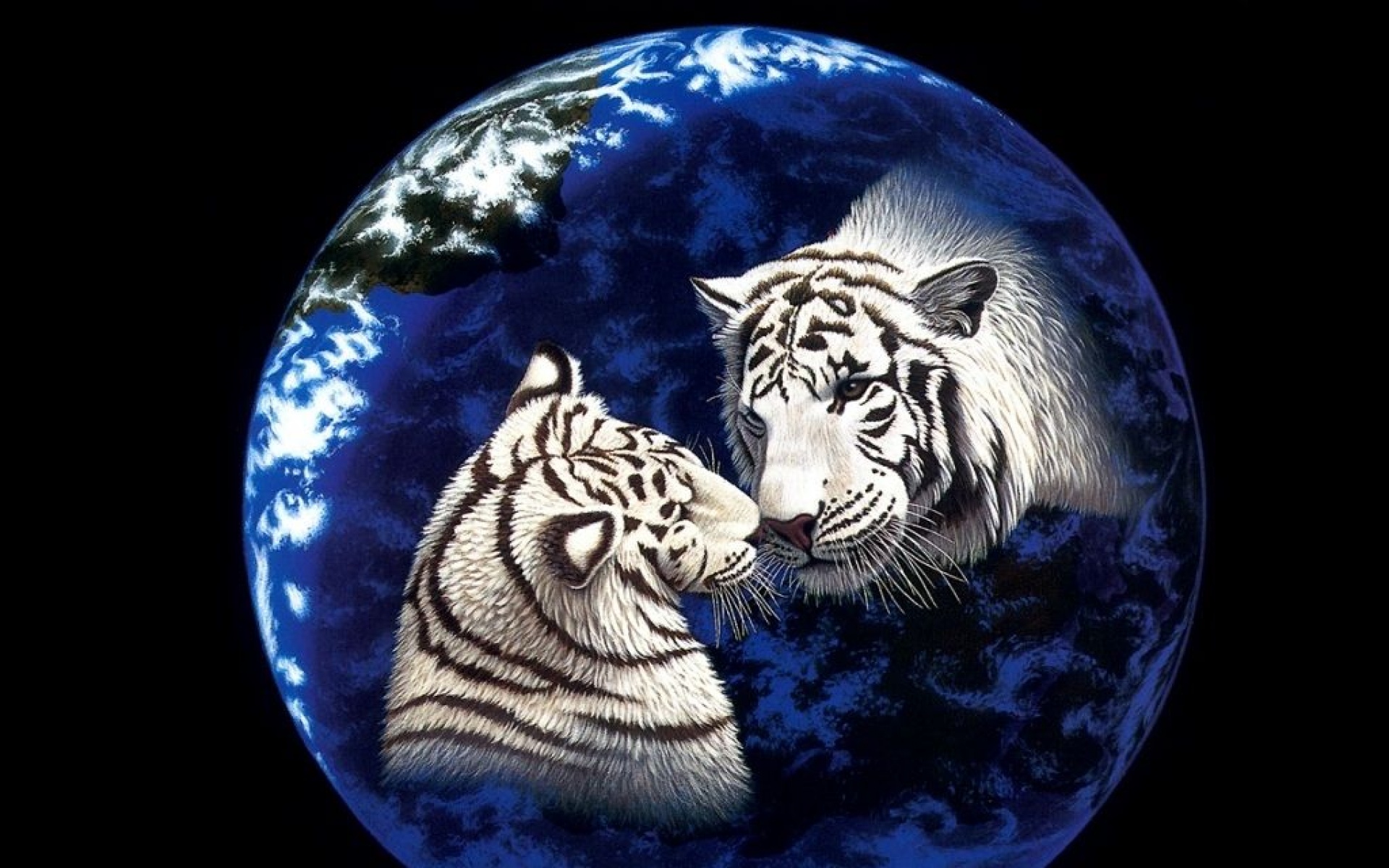 太空,动物,手绘,儿童桌面专用