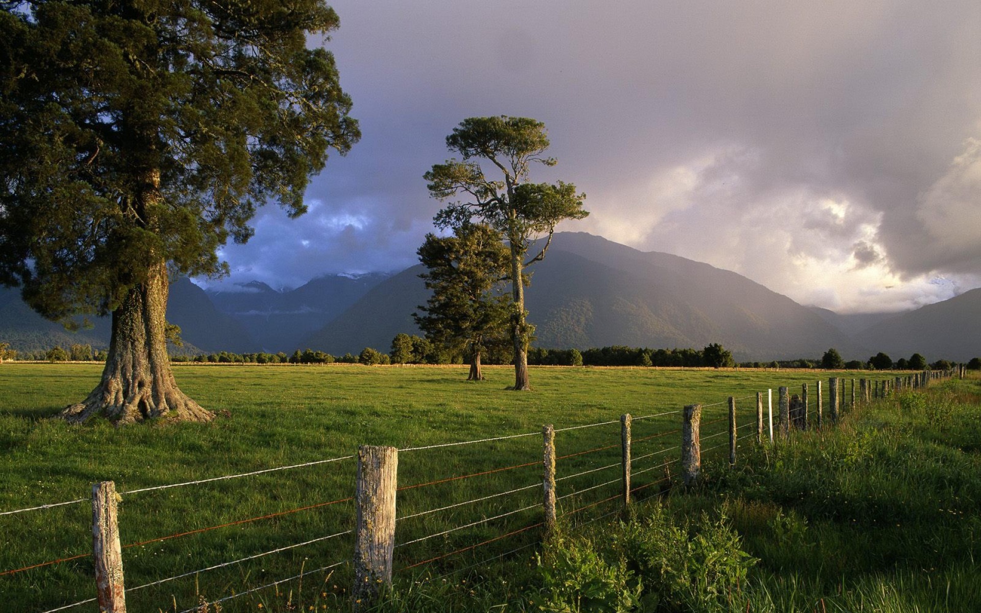 小清新,护眼壁纸,儿童桌面专用
