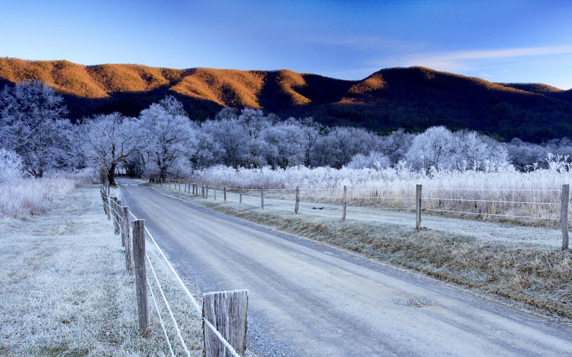风景,冰天雪地,2012Y十一月11D,儿童桌面专用