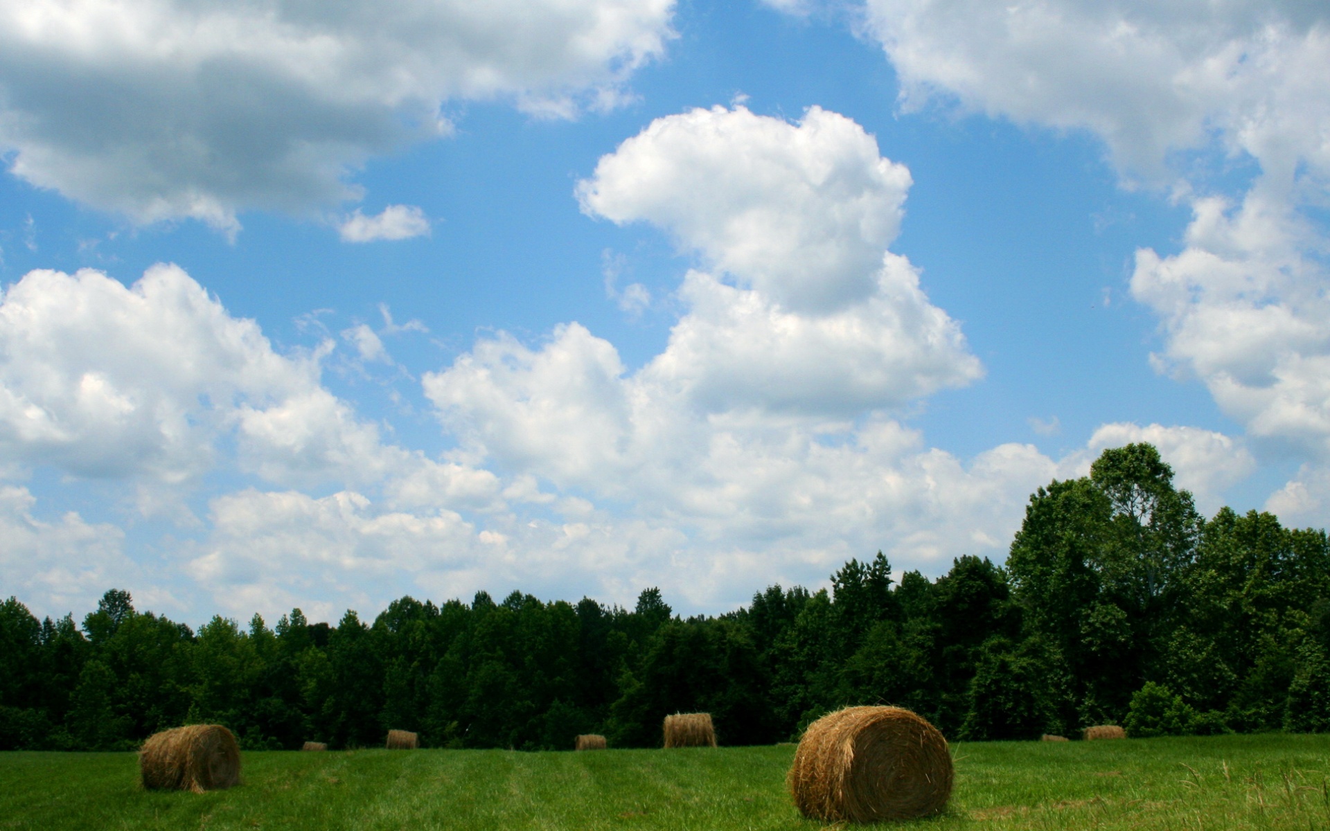 风景,碧绿草原,2012Y十月31D,儿童桌面专用