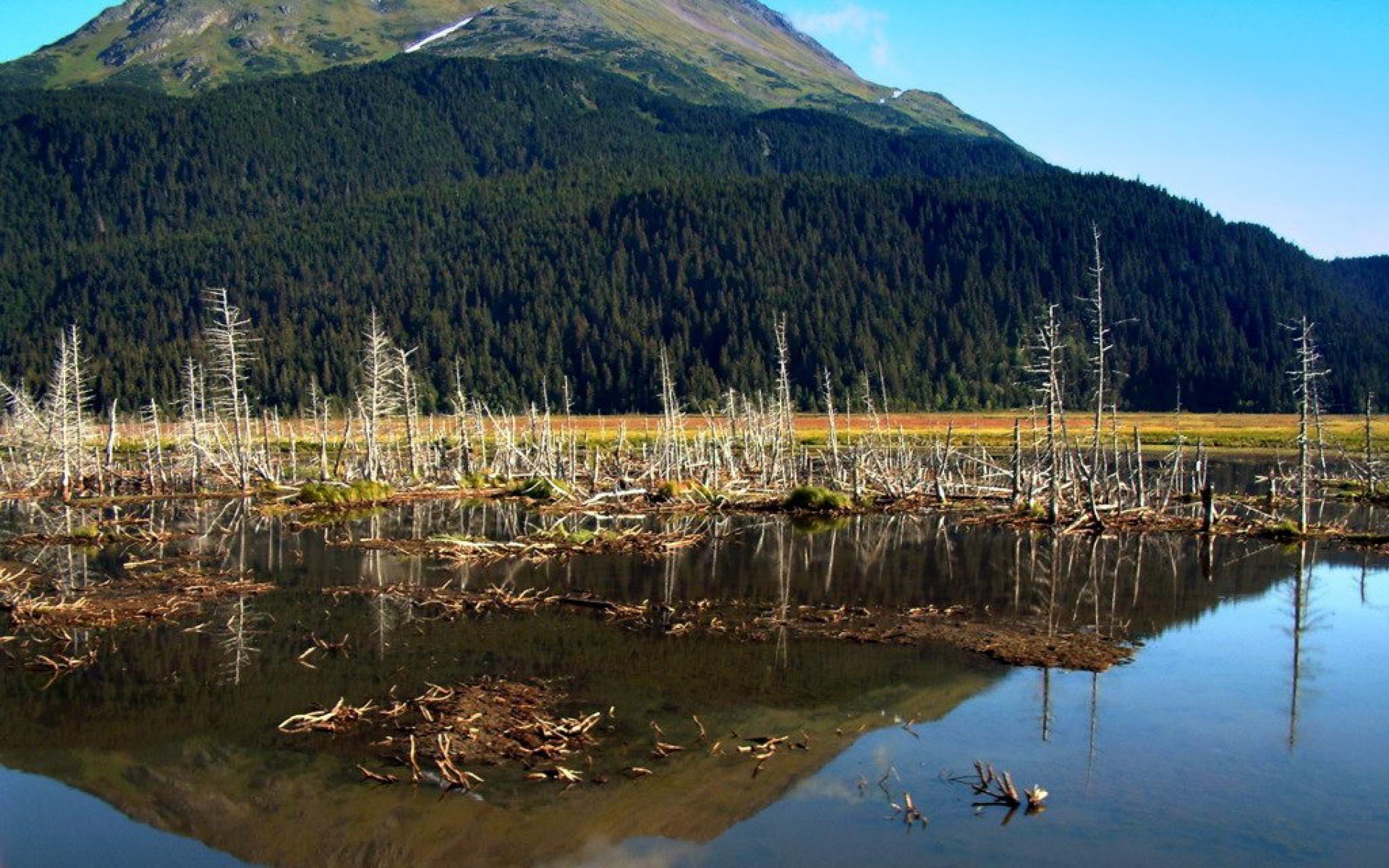 风景,自然风光,2012Y十一月16D,儿童桌面专用