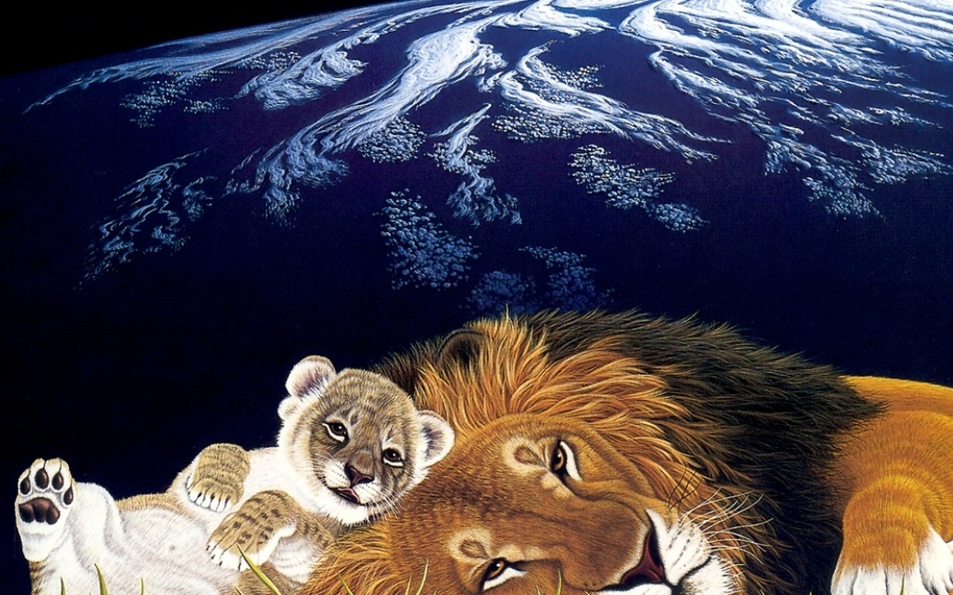 动物,绘画,风格,2012Y十一月04D,儿童桌面专用