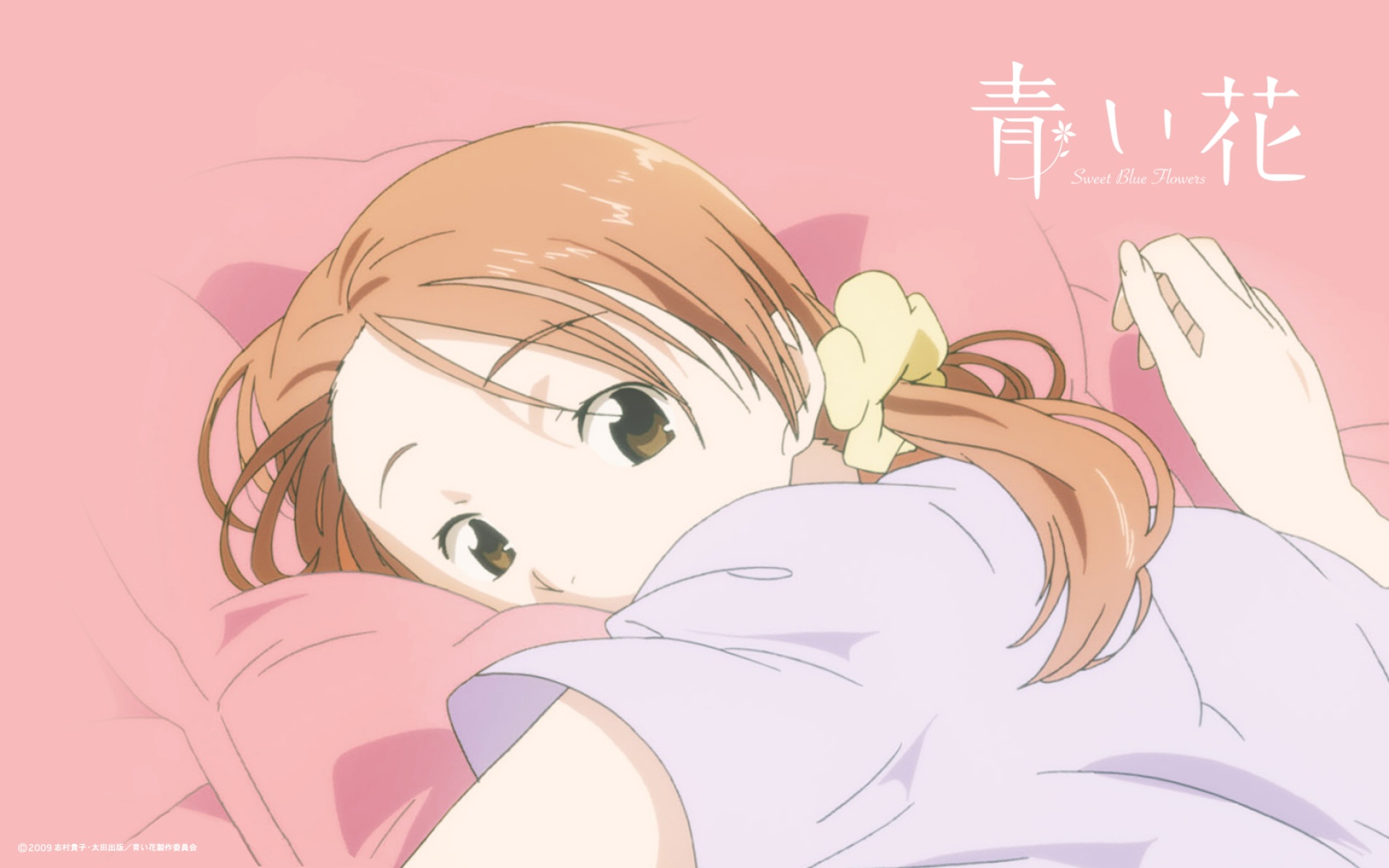 青花,蓝花,Aoihana,动漫,卡通,2012Y十一月03D,儿童桌面专用