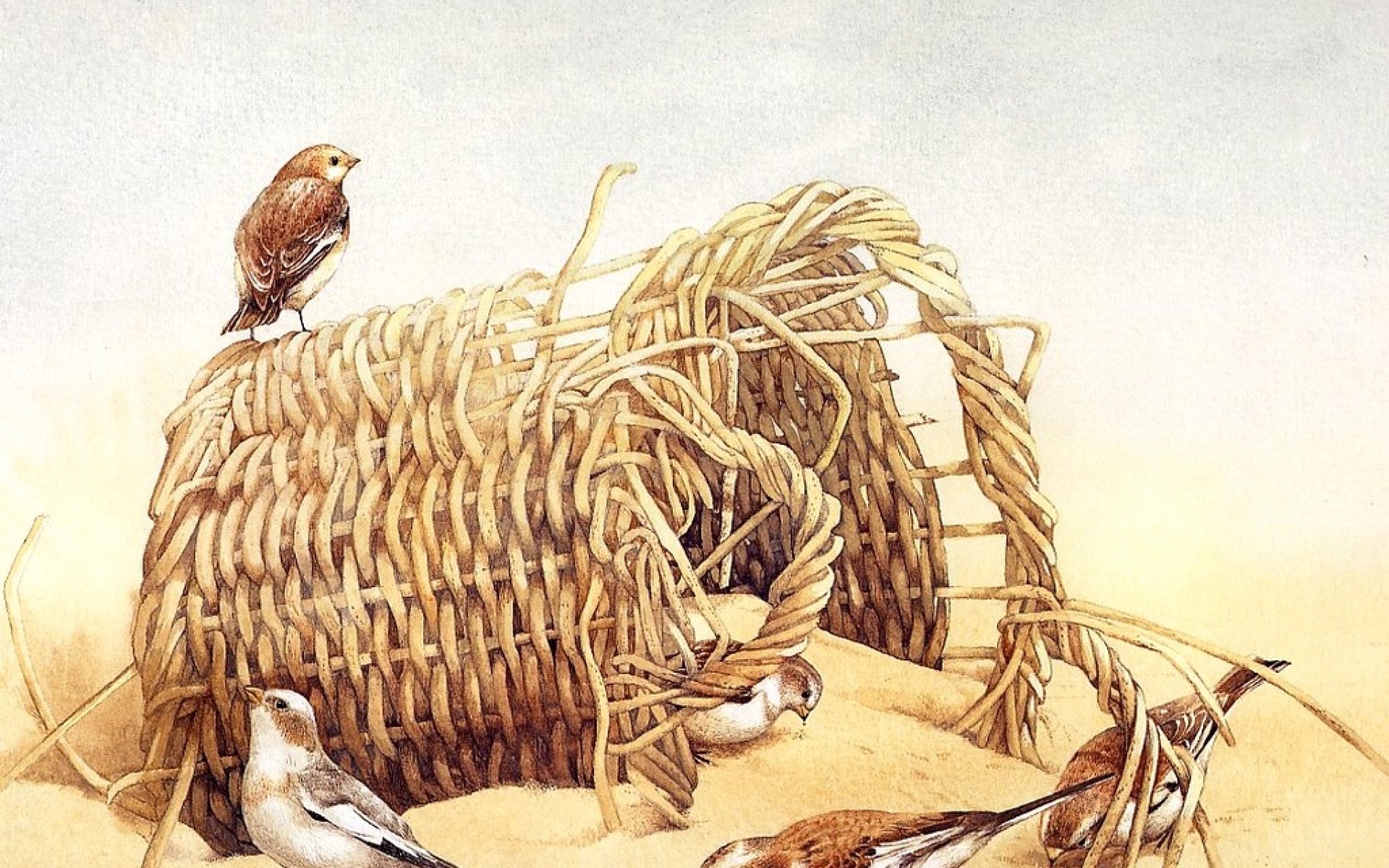 动物,绘画,风格,2012Y十一月08D,儿童桌面专用