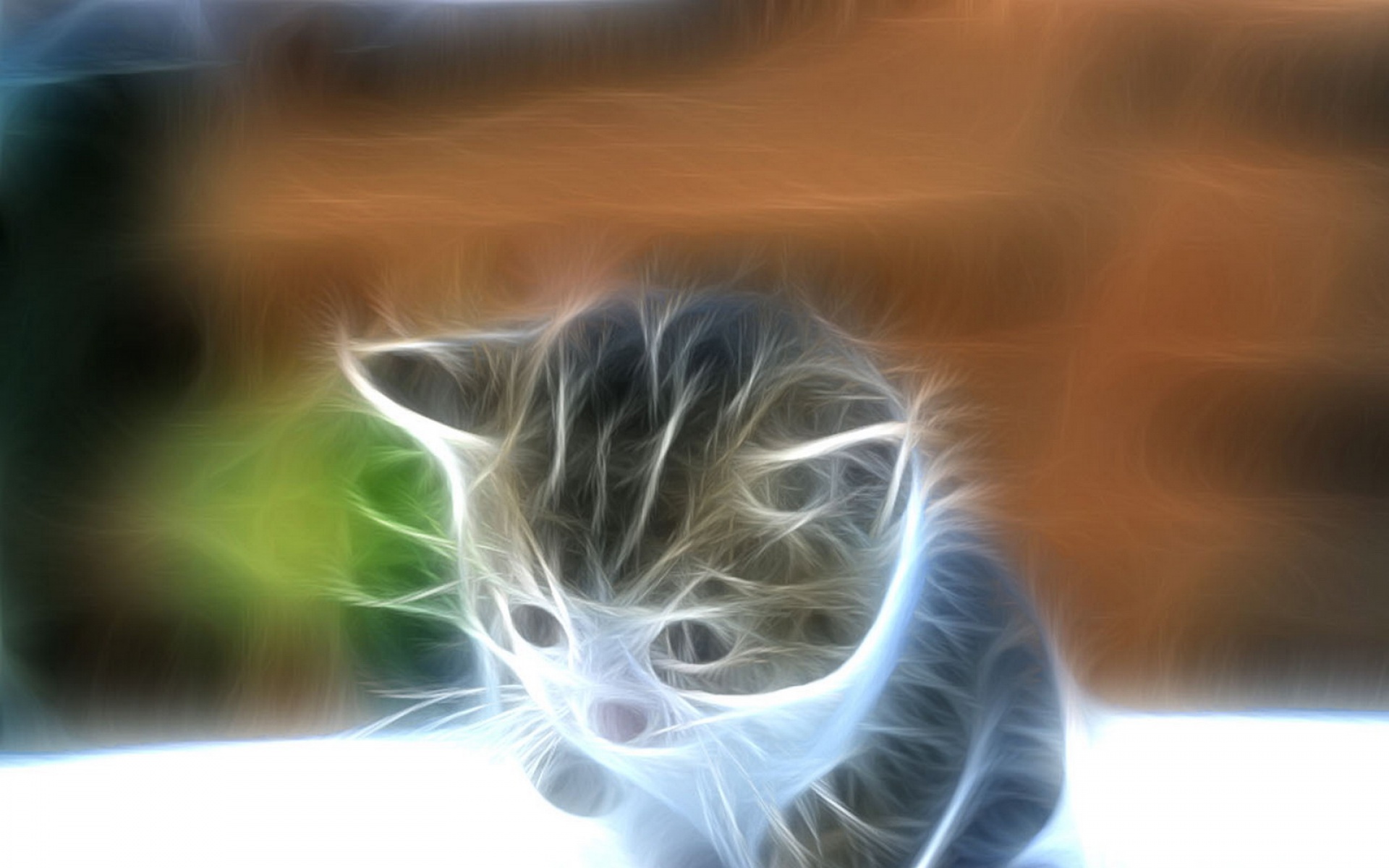 光线,描绘,猫科,动物,2012Y十一月04D,儿童桌面专用