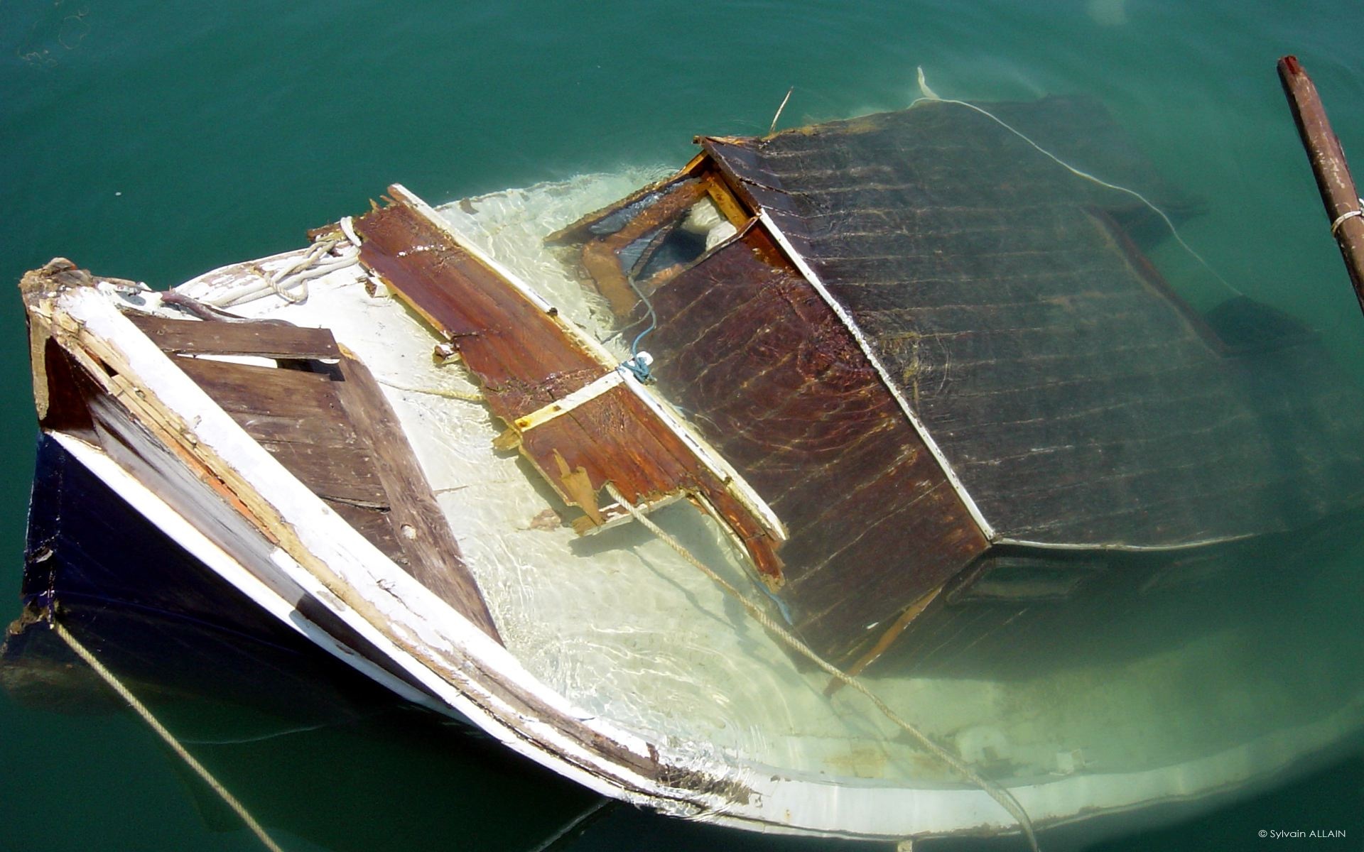 经典,精美,风光,风景,动物,生物,摄影,高清,宽屏,2012Y十月31D,儿童桌面专用