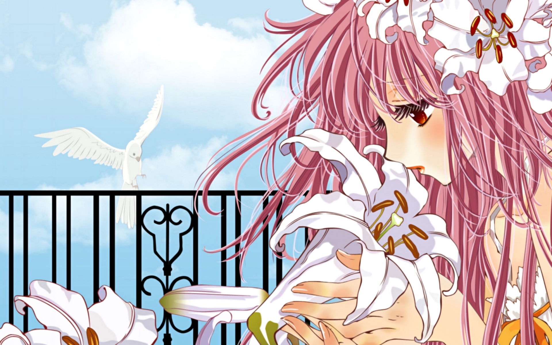 clamp,学园侦探团,动漫,卡通,2012Y十一月03D,儿童桌面专用