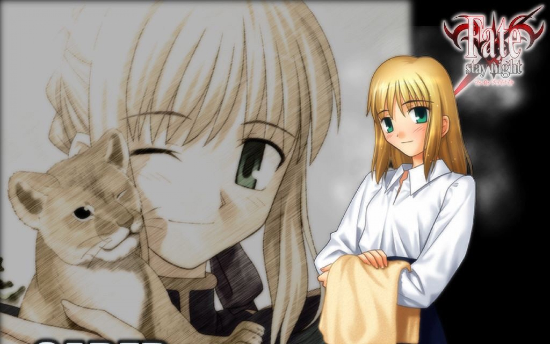 命运守护夜,游戏,2012Y十一月16D