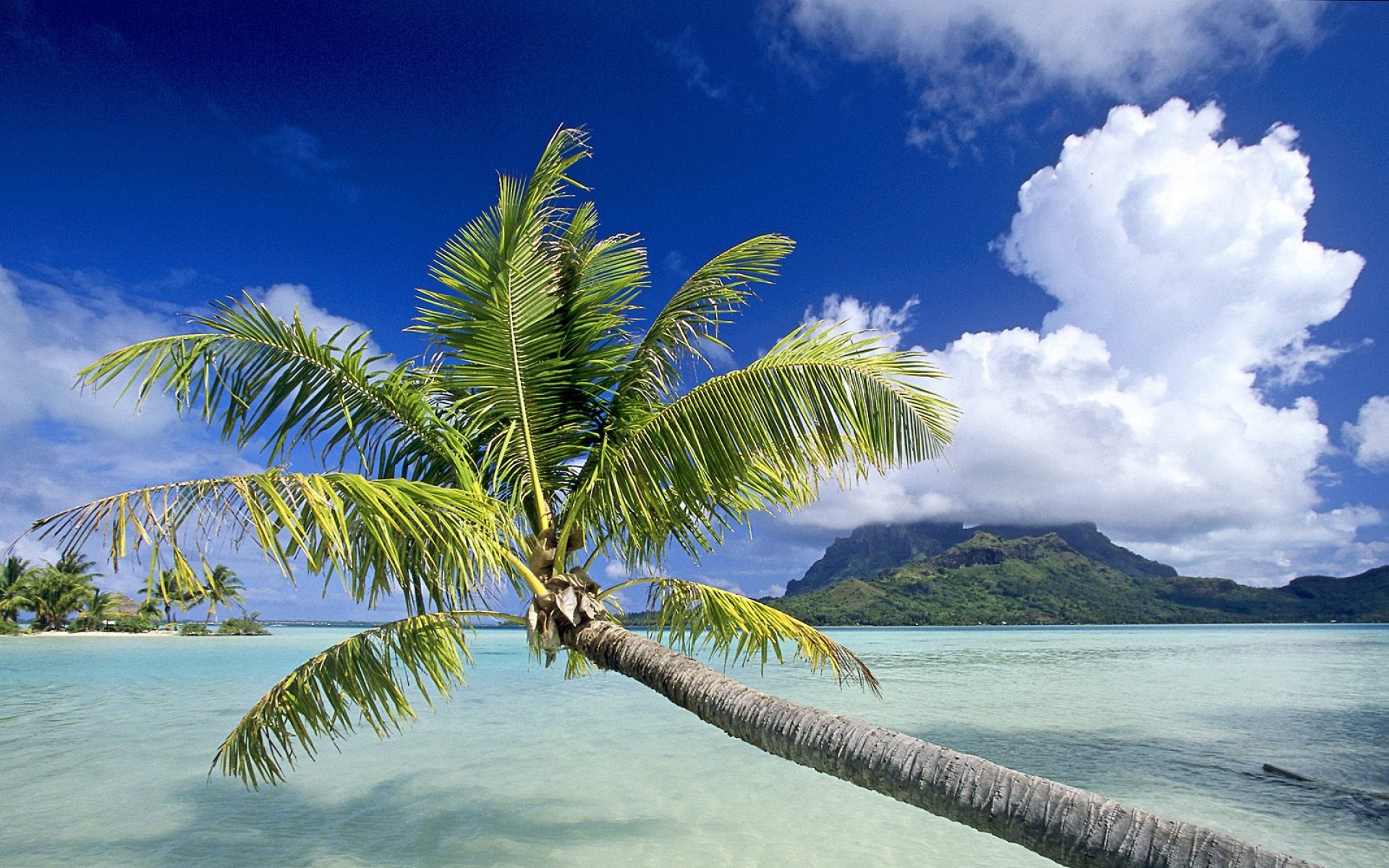 风景,海洋天堂,2012Y十一月05D,儿童桌面专用