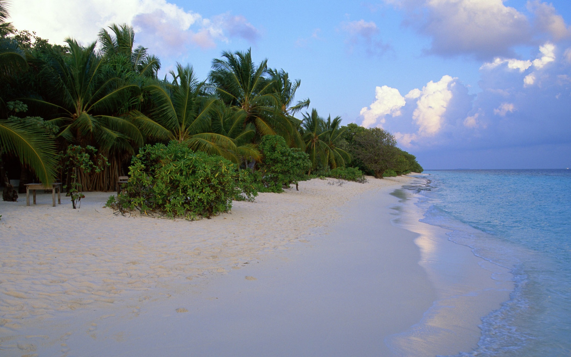 风景,海洋天堂,2012Y十一月10D,儿童桌面专用