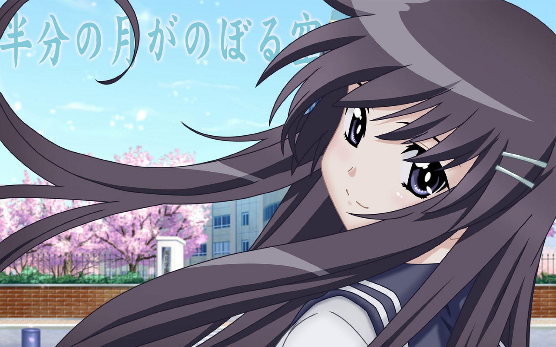 仰望,半月夜空,游戏,2012Y十一月16D