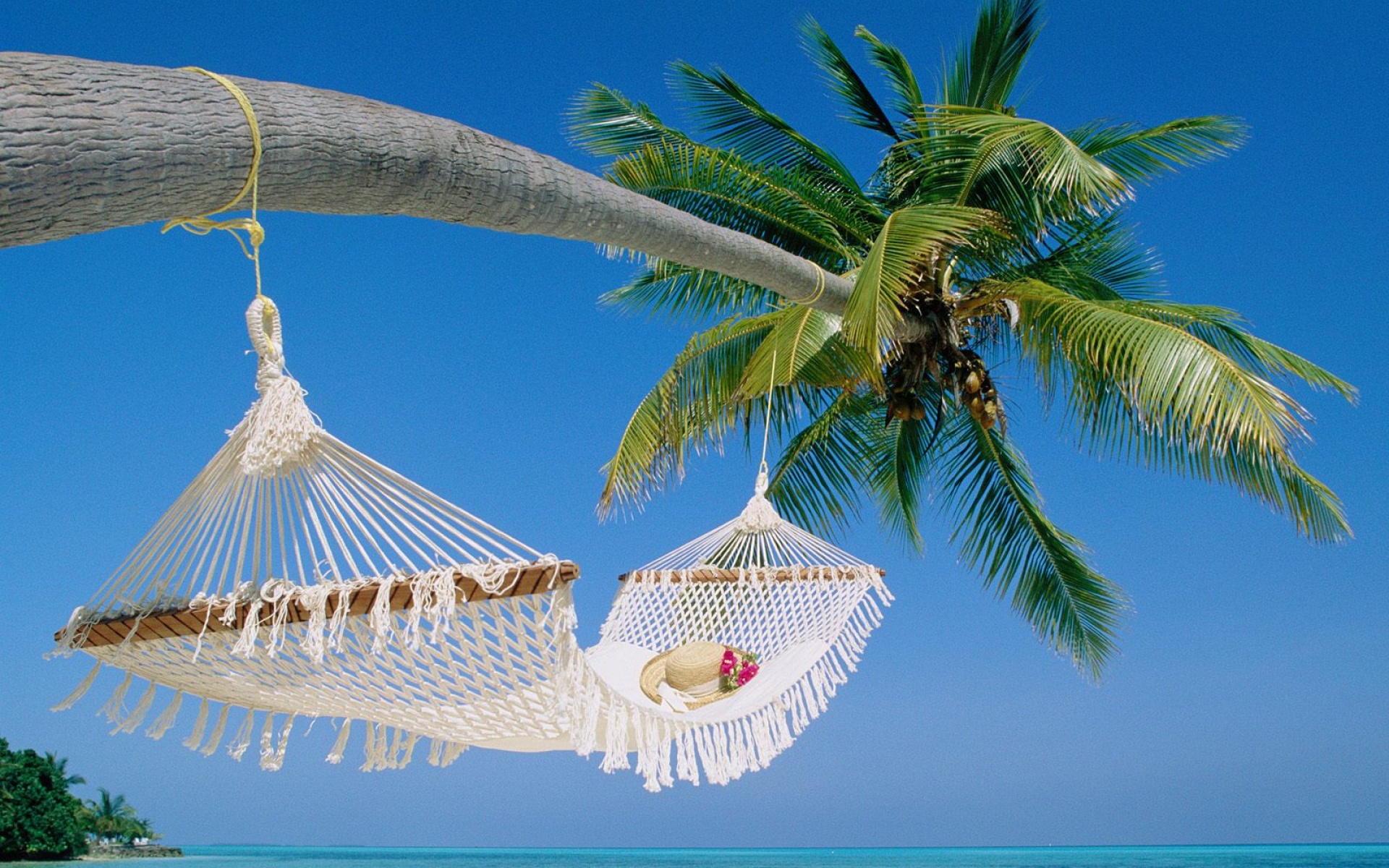 风景,海洋天堂,2012Y十一月04D,儿童桌面专用