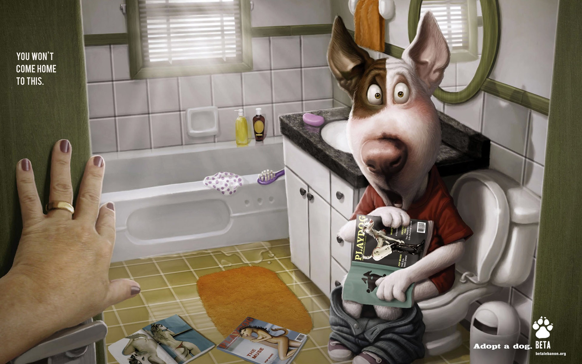 Premium,创意,宽屏,2012Y十一月03D,设计,儿童桌面专用