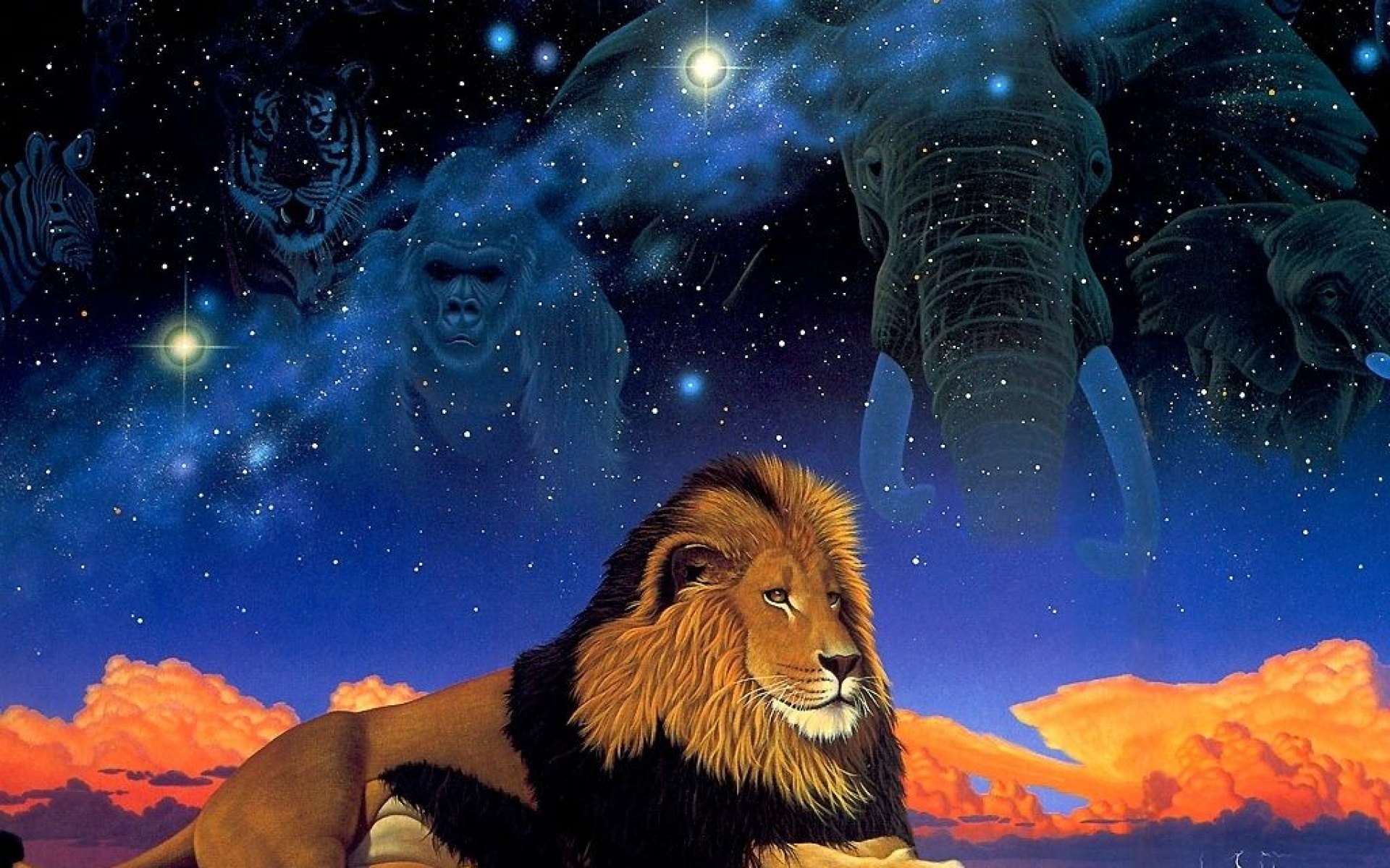 太空,动物,手绘,儿童桌面专用