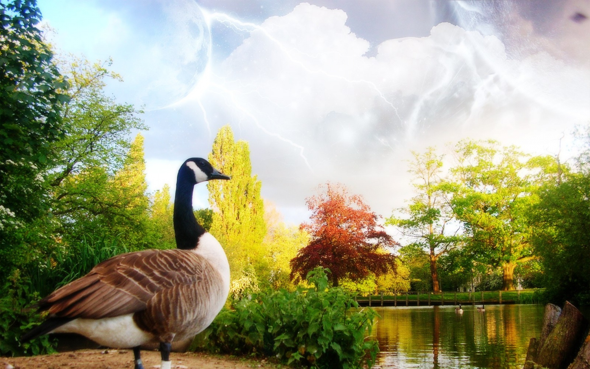 经典,A,Dreamy,World,梦幻,世界,艺术,设计,2012Y十月30D,创意,儿童桌面专用