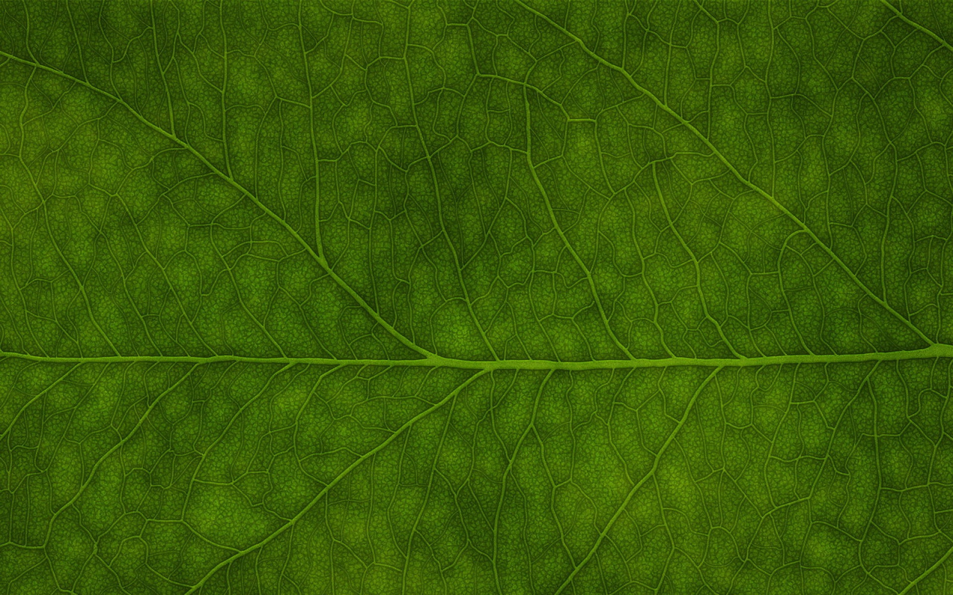 小清新,护眼壁纸,儿童桌面专用