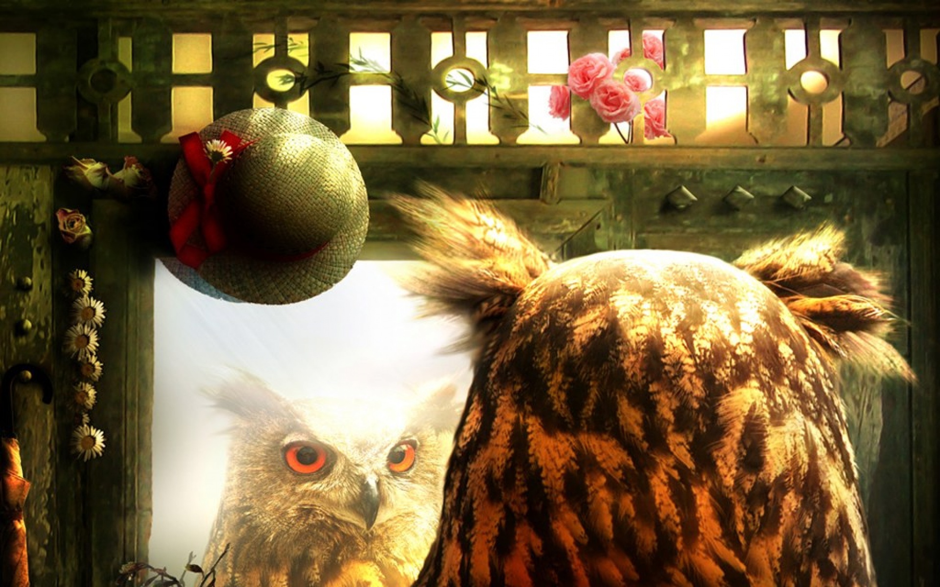 魔幻,世界,设计,精美,插画,2012Y十一月03D,创意,儿童桌面专用