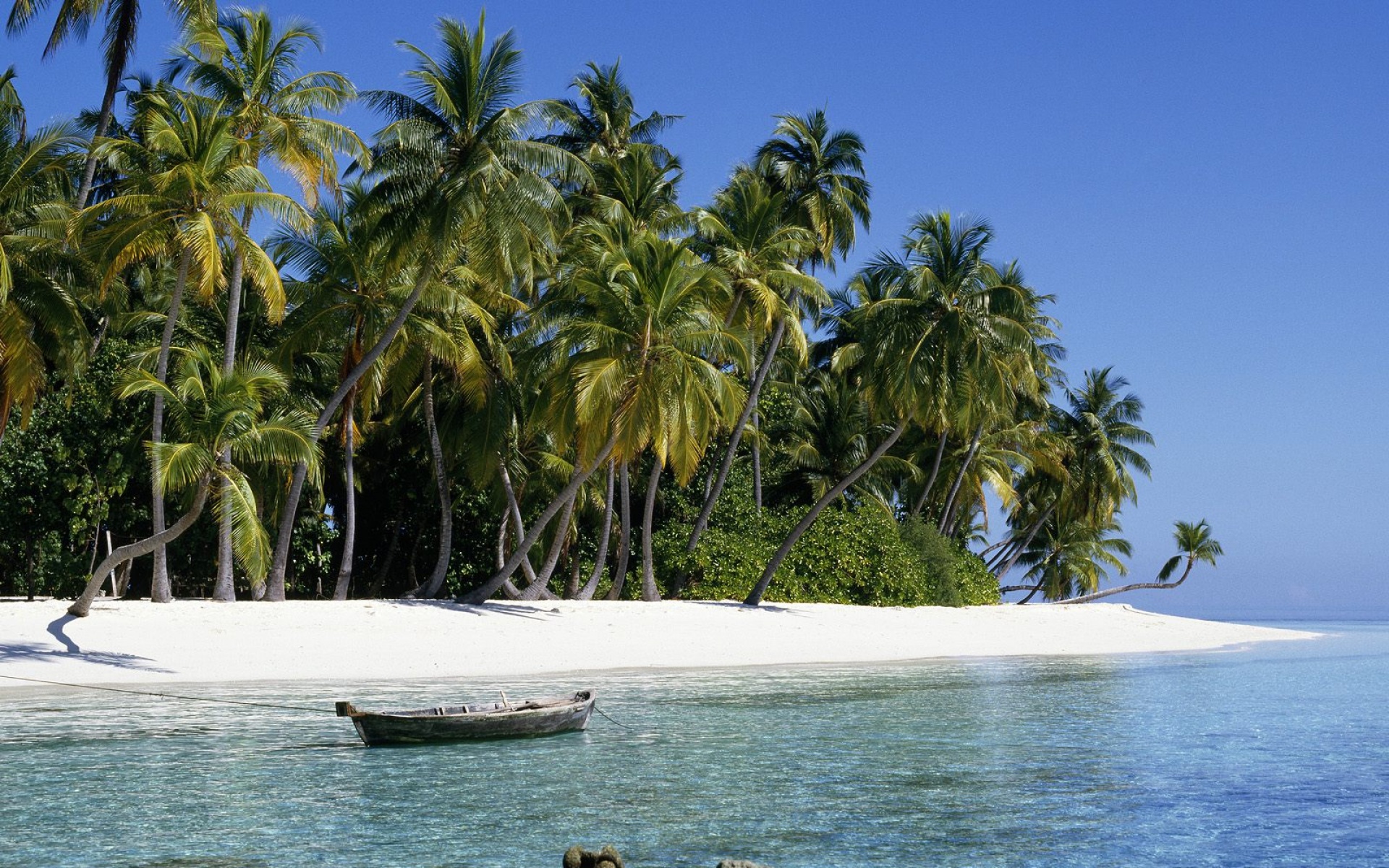 风景,海洋天堂,2012Y十一月12D,儿童桌面专用