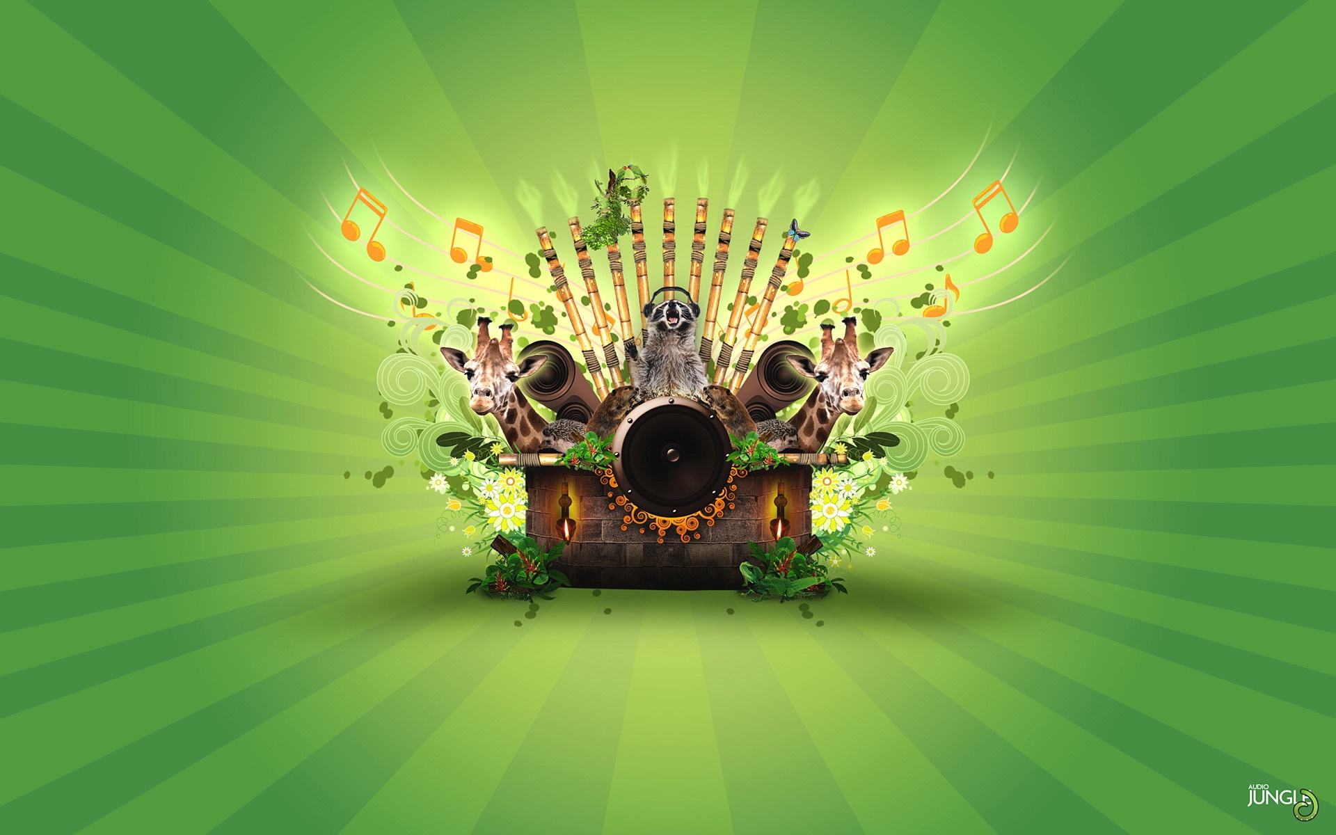 音乐,丛林,设计,高清,2012Y十一月05D,儿童桌面专用