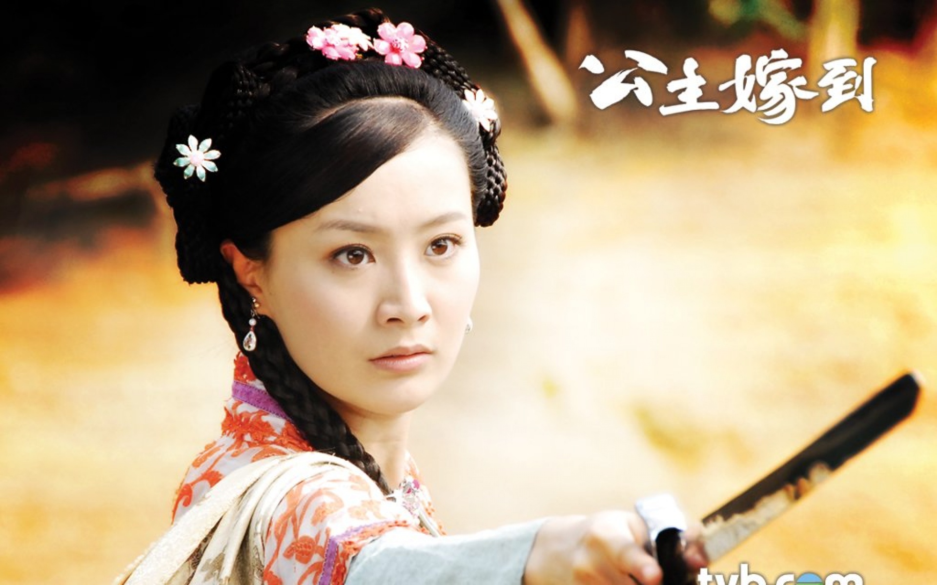 公主嫁到,电视剧,2012Y十月31D,热门剧集