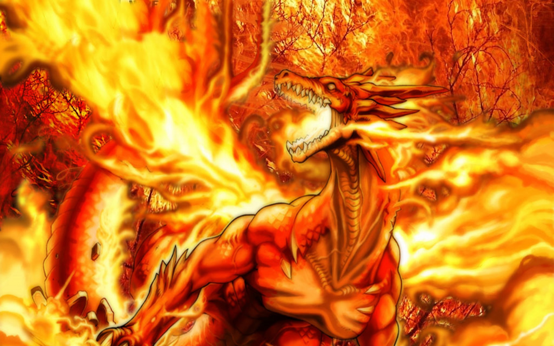 焰火,主题,设计,2012Y十一月05D