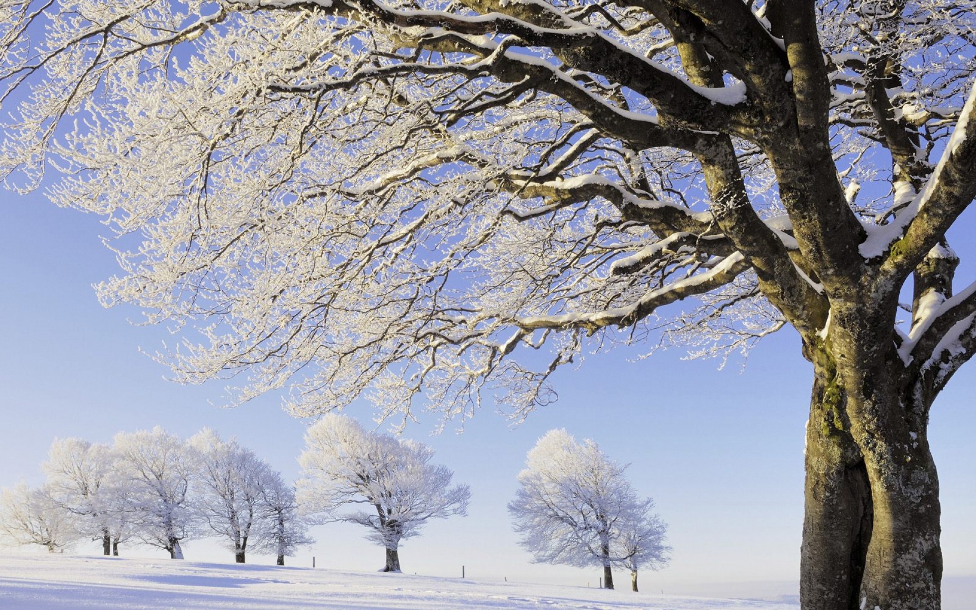 风景,冰天雪地,2012Y十一月03D,儿童桌面专用