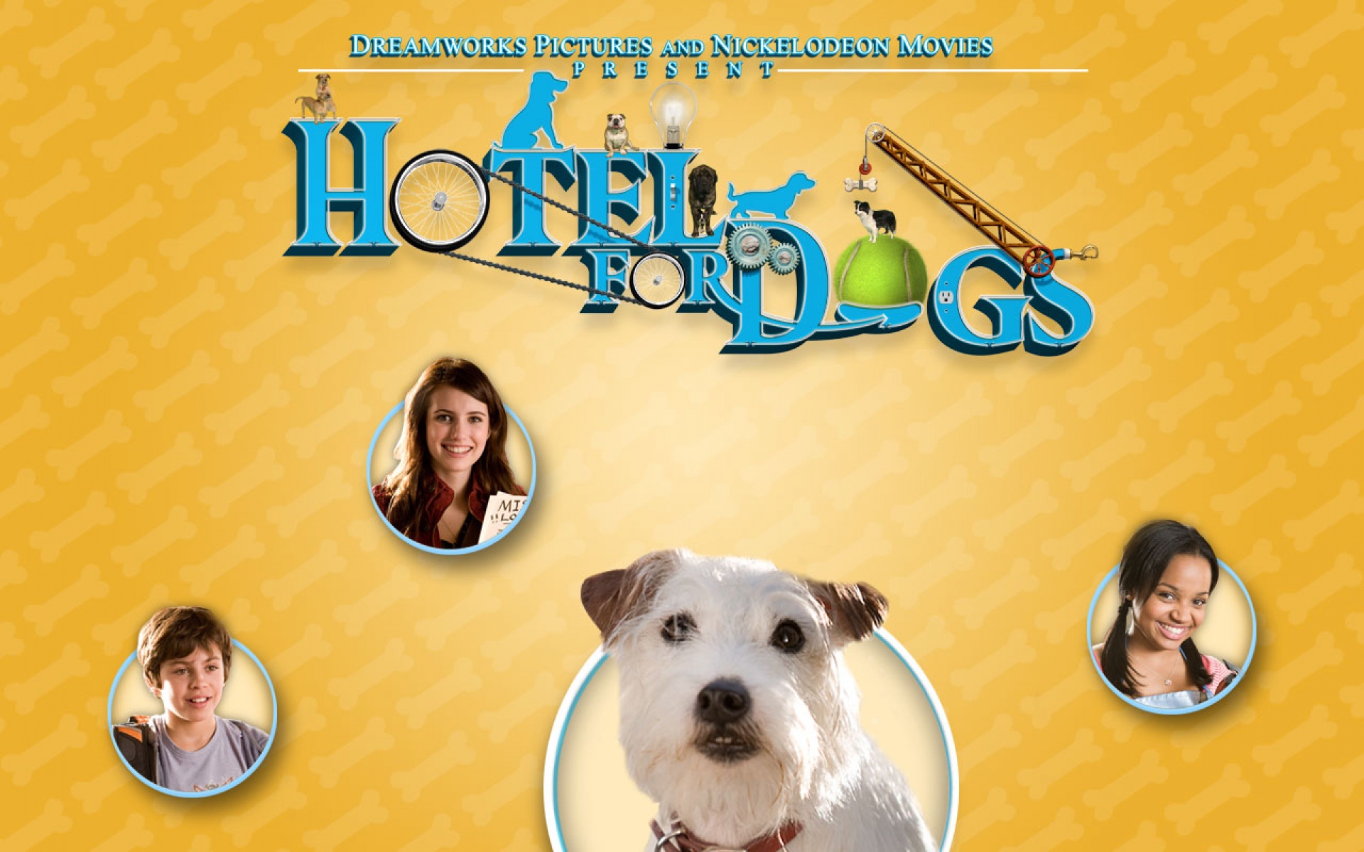 电影,影视,2012Y十一月08D