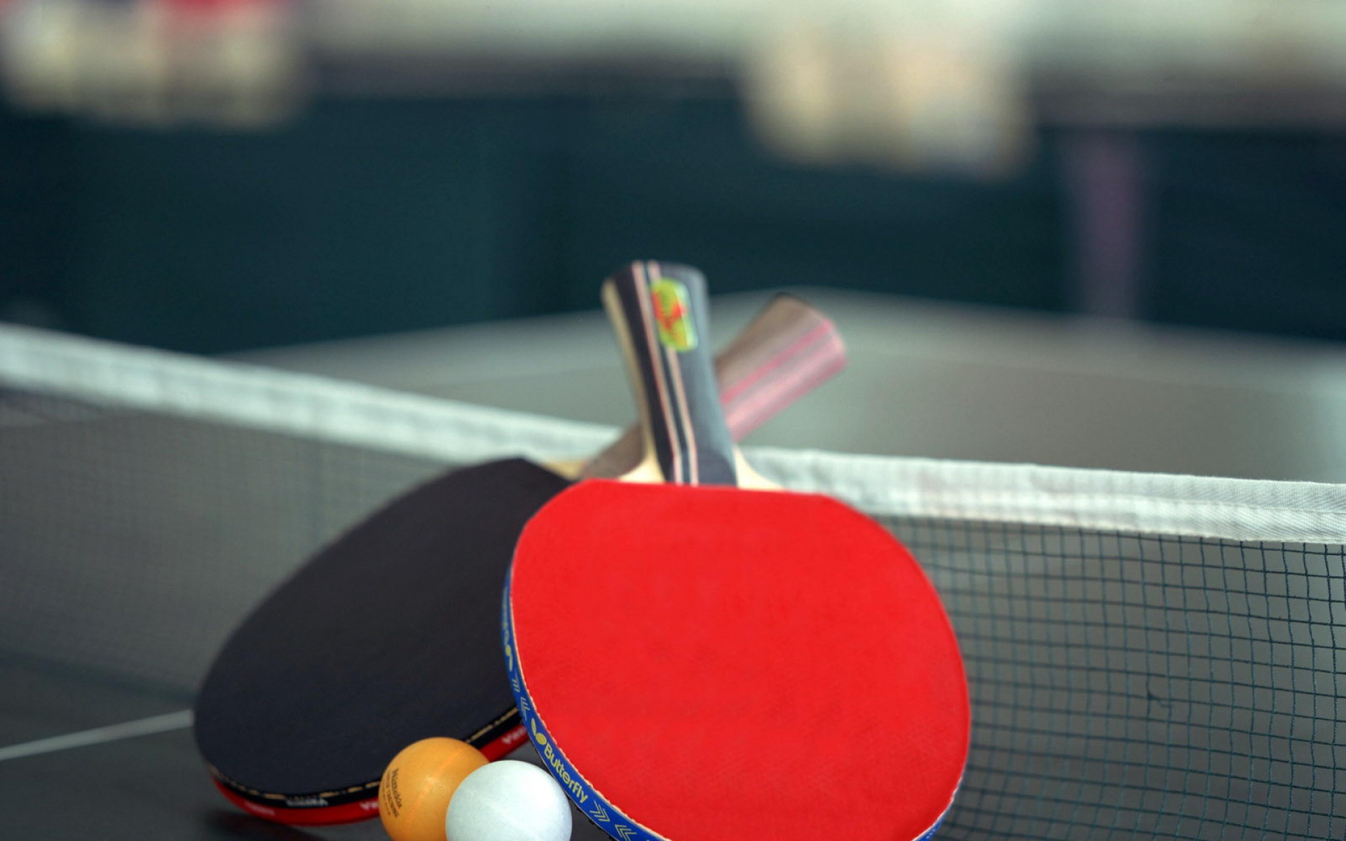 运动,2012Y十一月12D